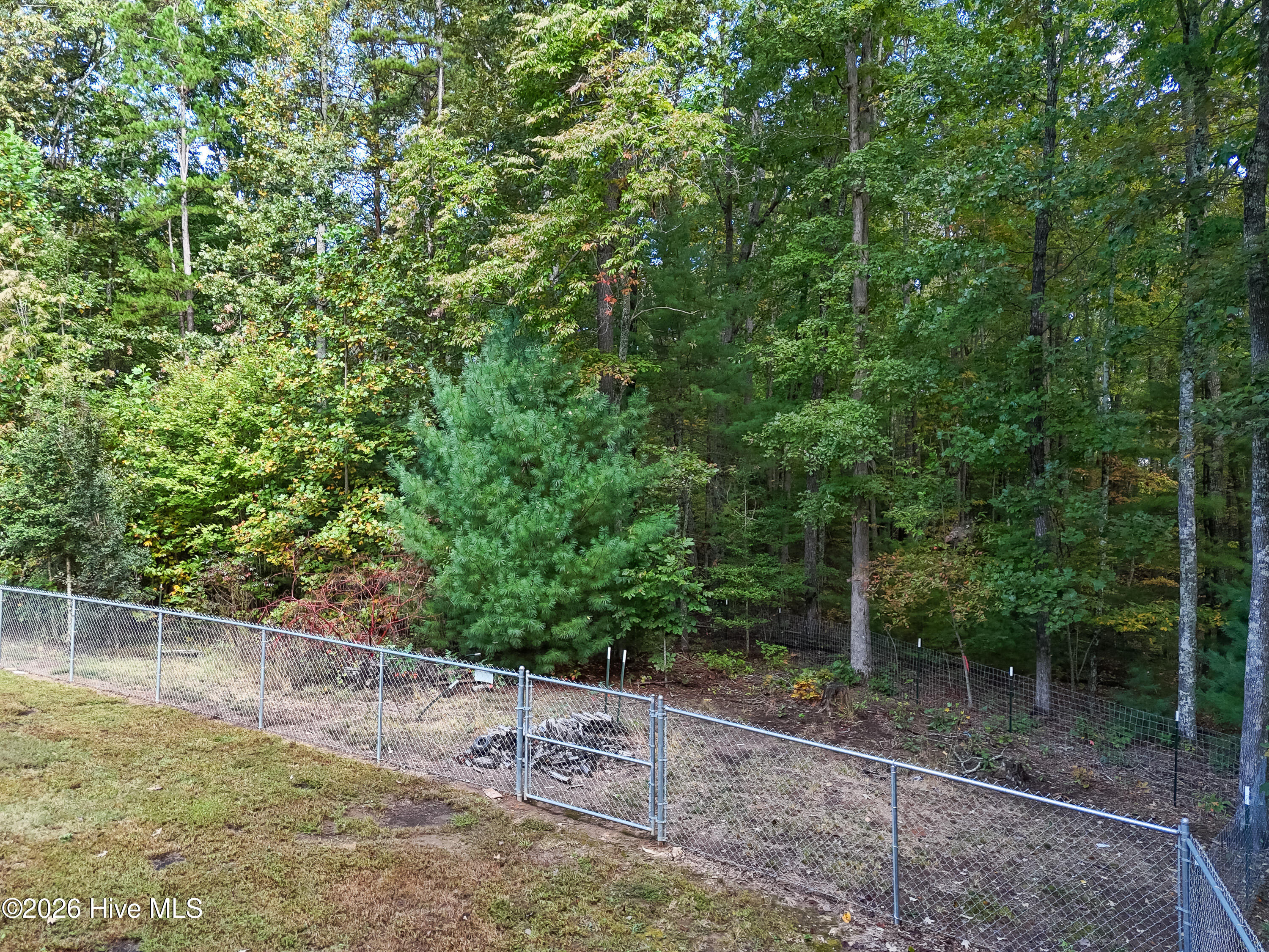 3015 Camp Creek Road Property Photo 44