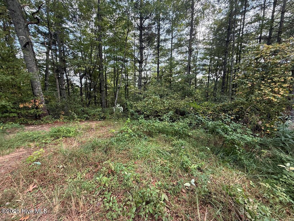 183 Mundy Road Property Photo 1