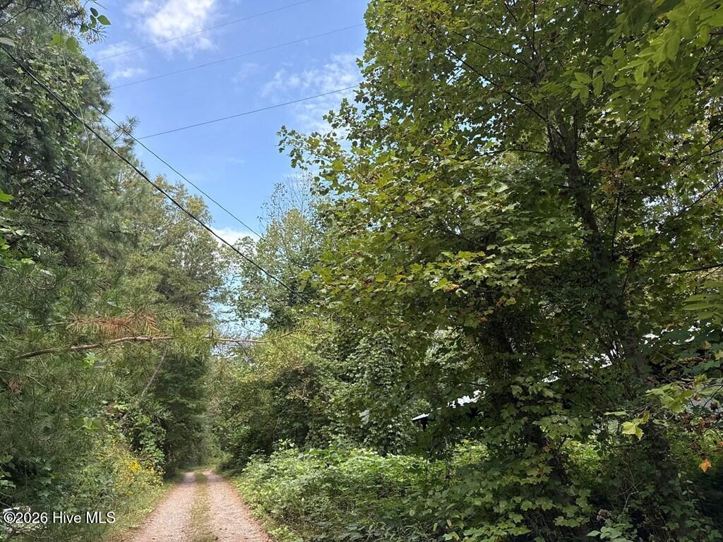 183 Mundy Road Property Photo 4