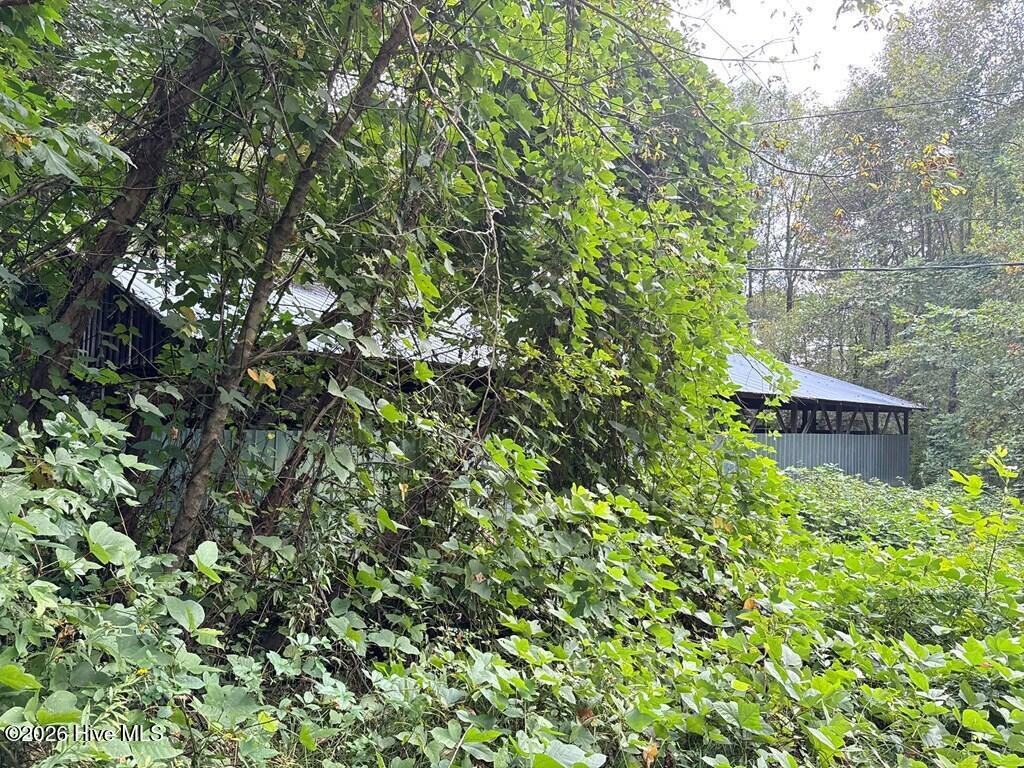 183 Mundy Road Property Photo 7
