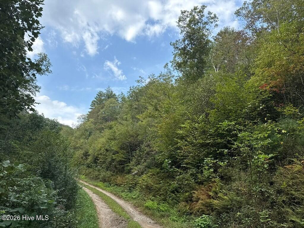 183 Mundy Road Property Photo 9