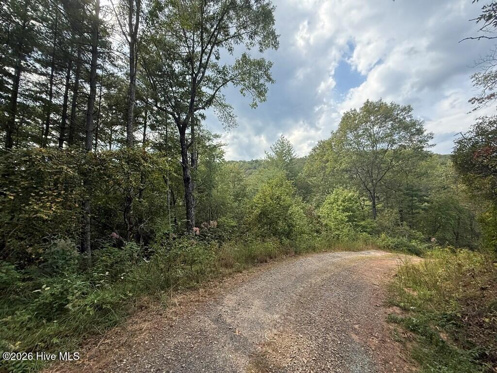 183 Mundy Road Property Photo 10