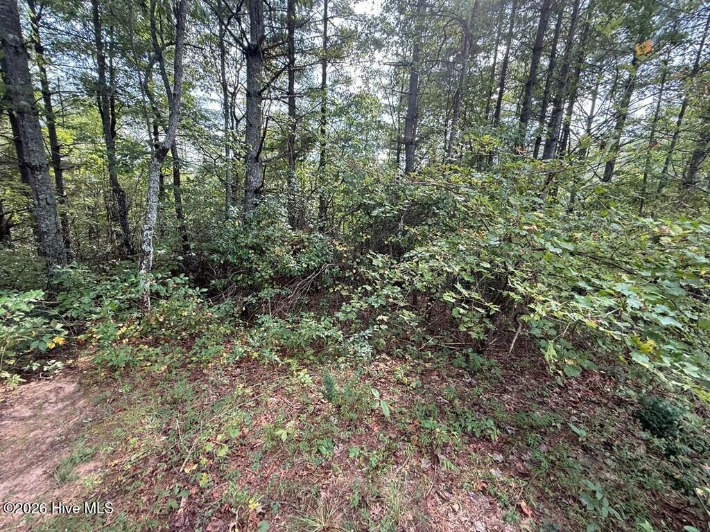 183 Mundy Road Property Photo 11