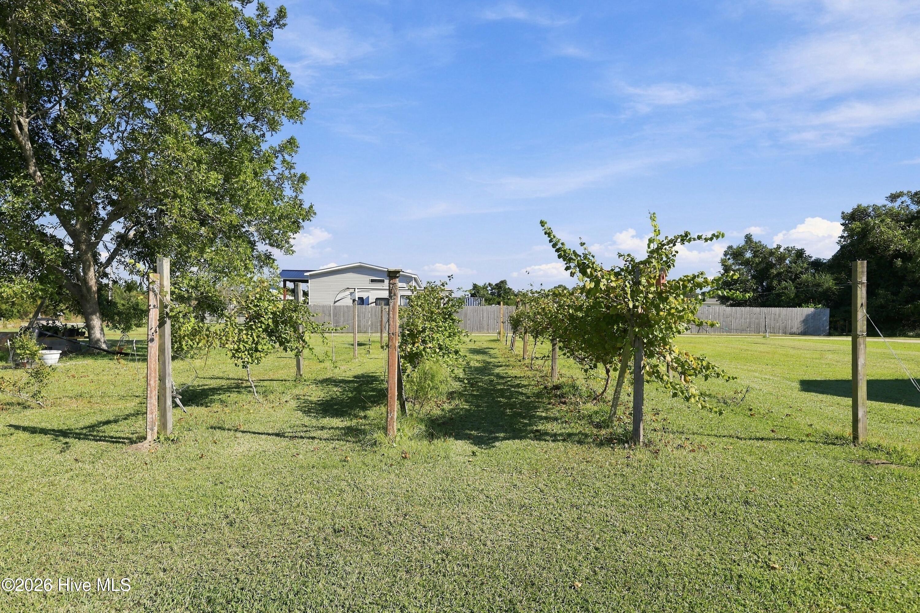 279 Highway 70 Otway Property Photo 46