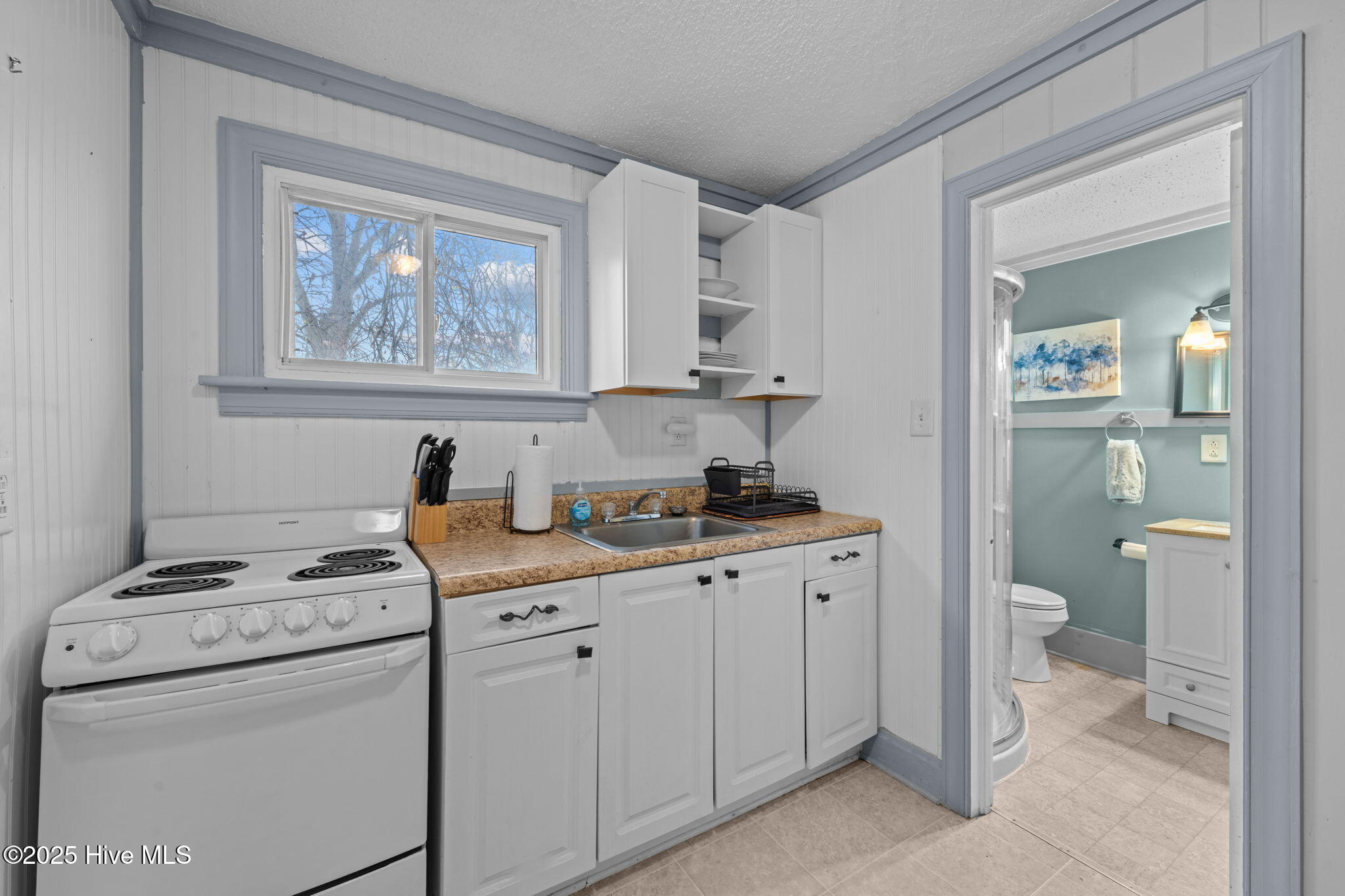 411 George Street 4 Property Photo 3