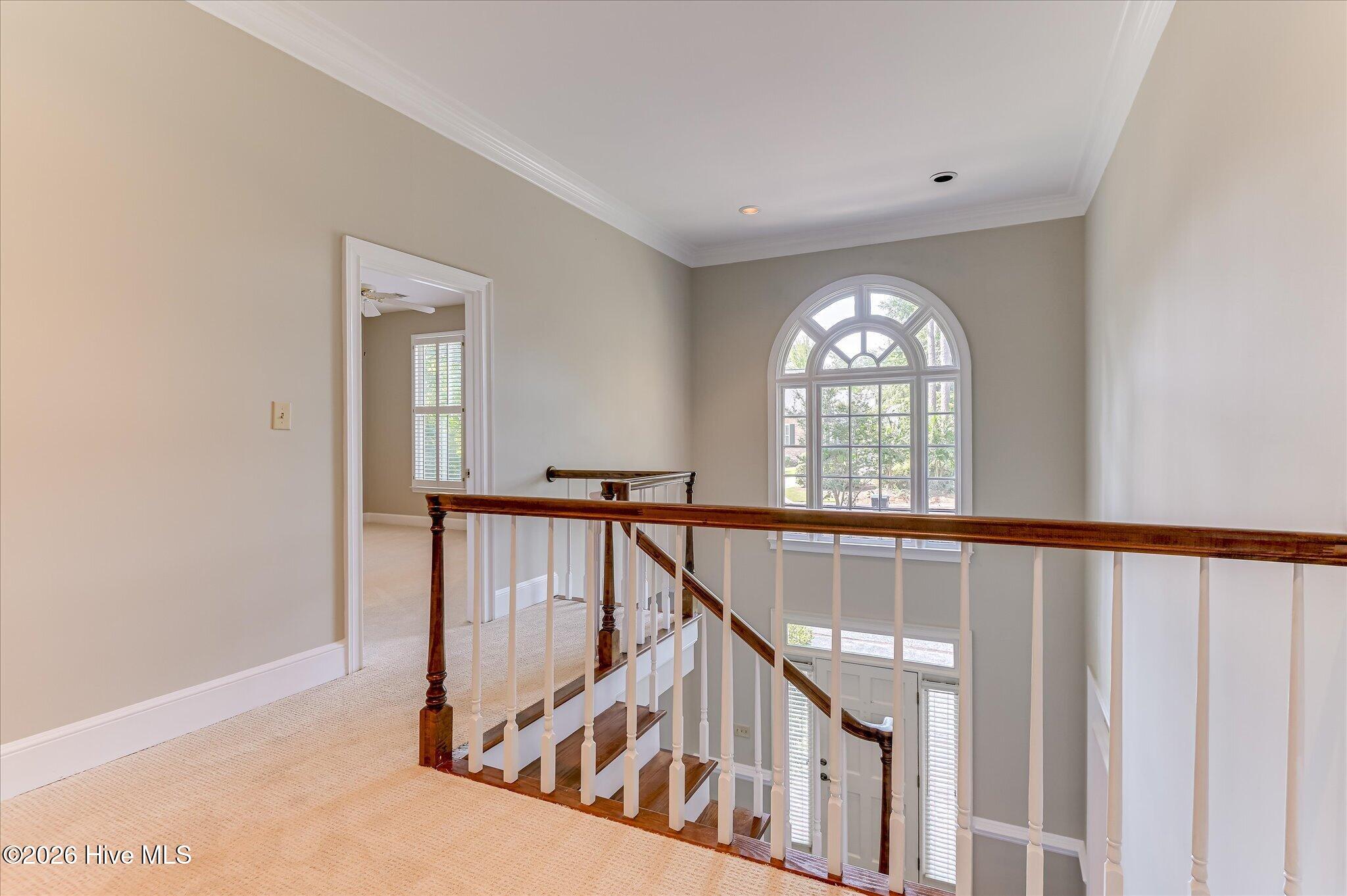 9 Tall Pine Circle Property Photo 39