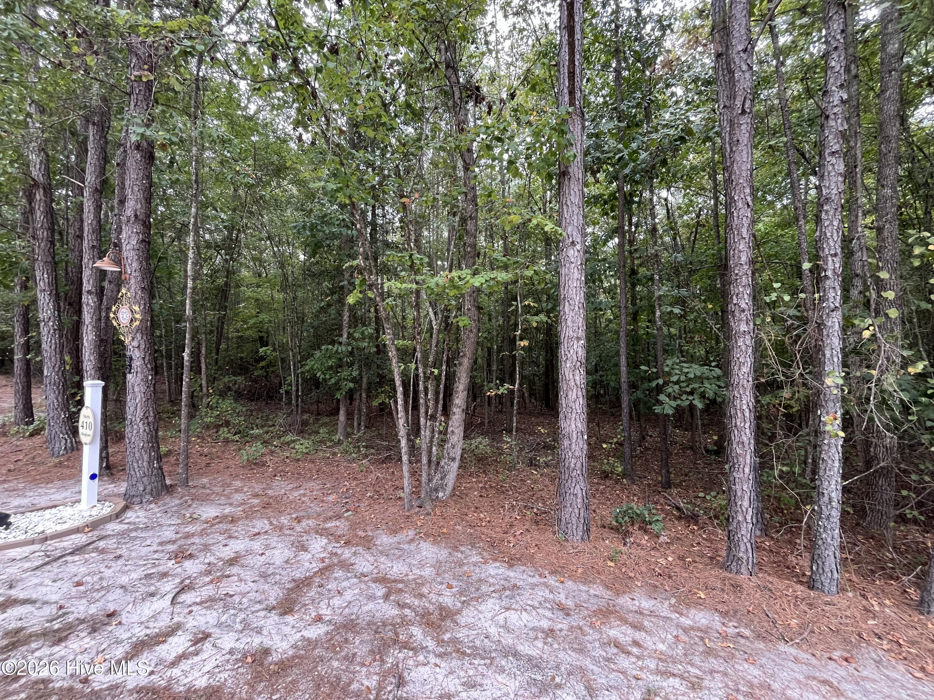 410 5 Bingham Street Property Photo 2