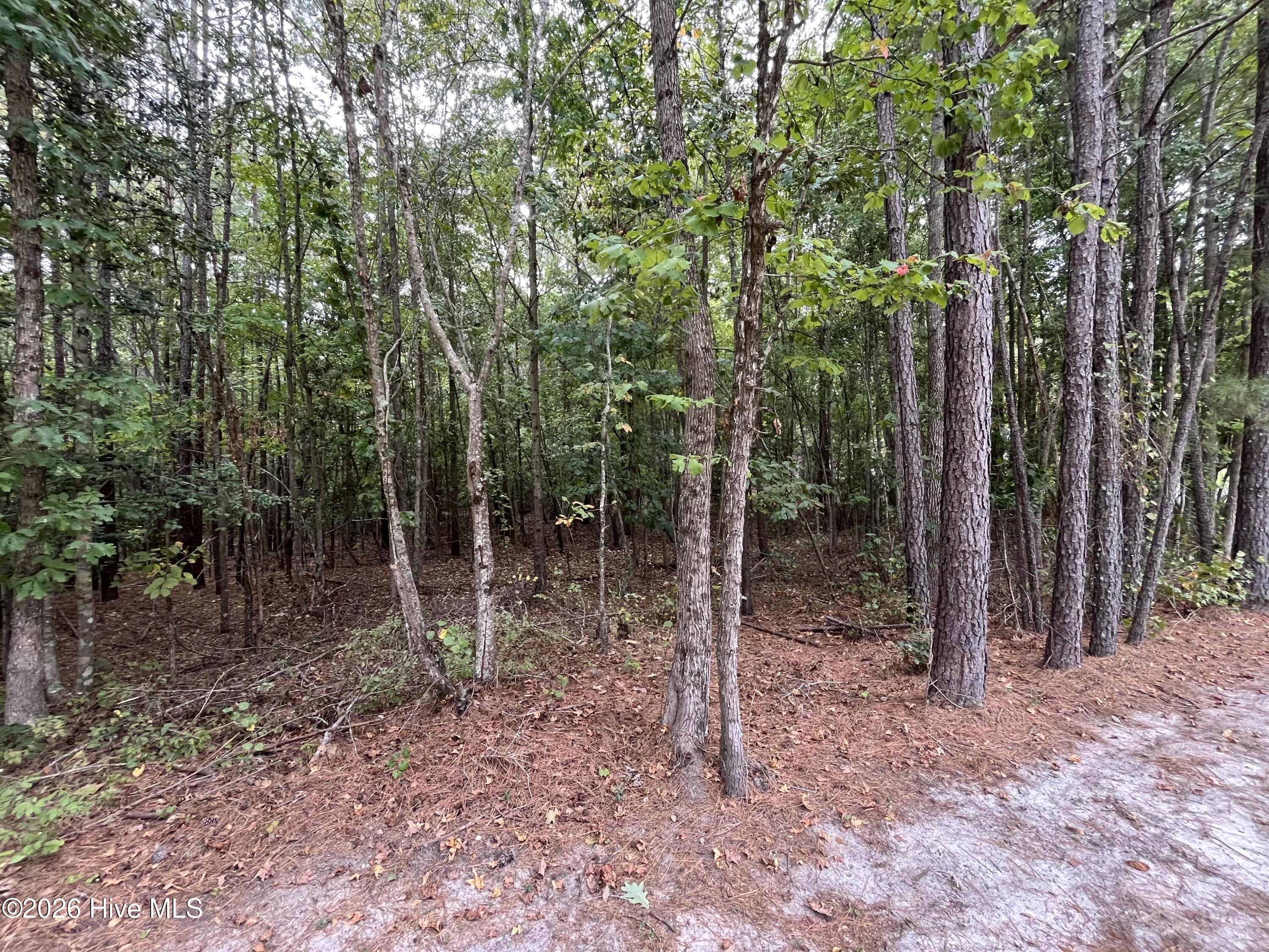 410 5 Bingham Street Property Photo 4