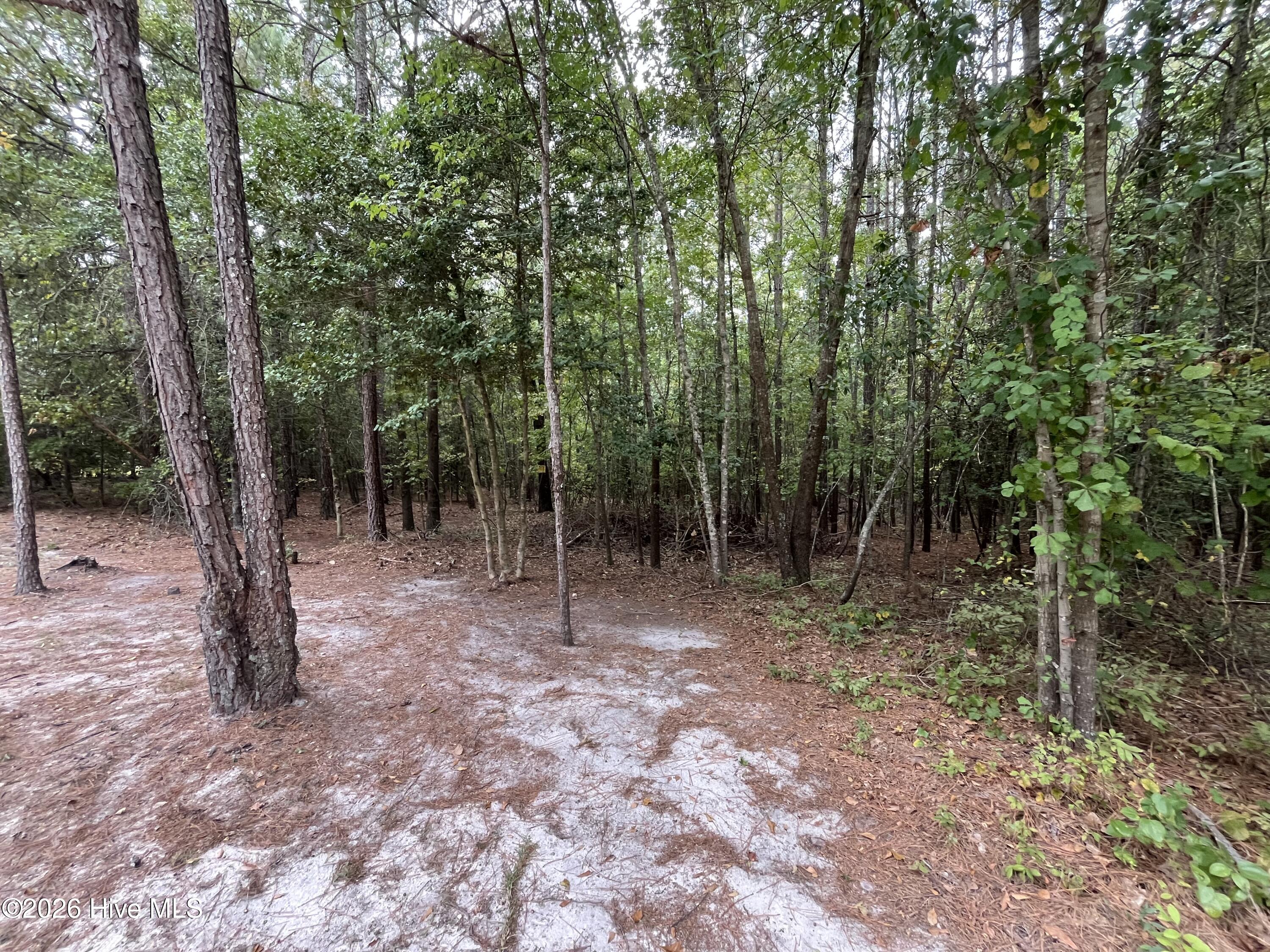 410 5 Bingham Street Property Photo 5