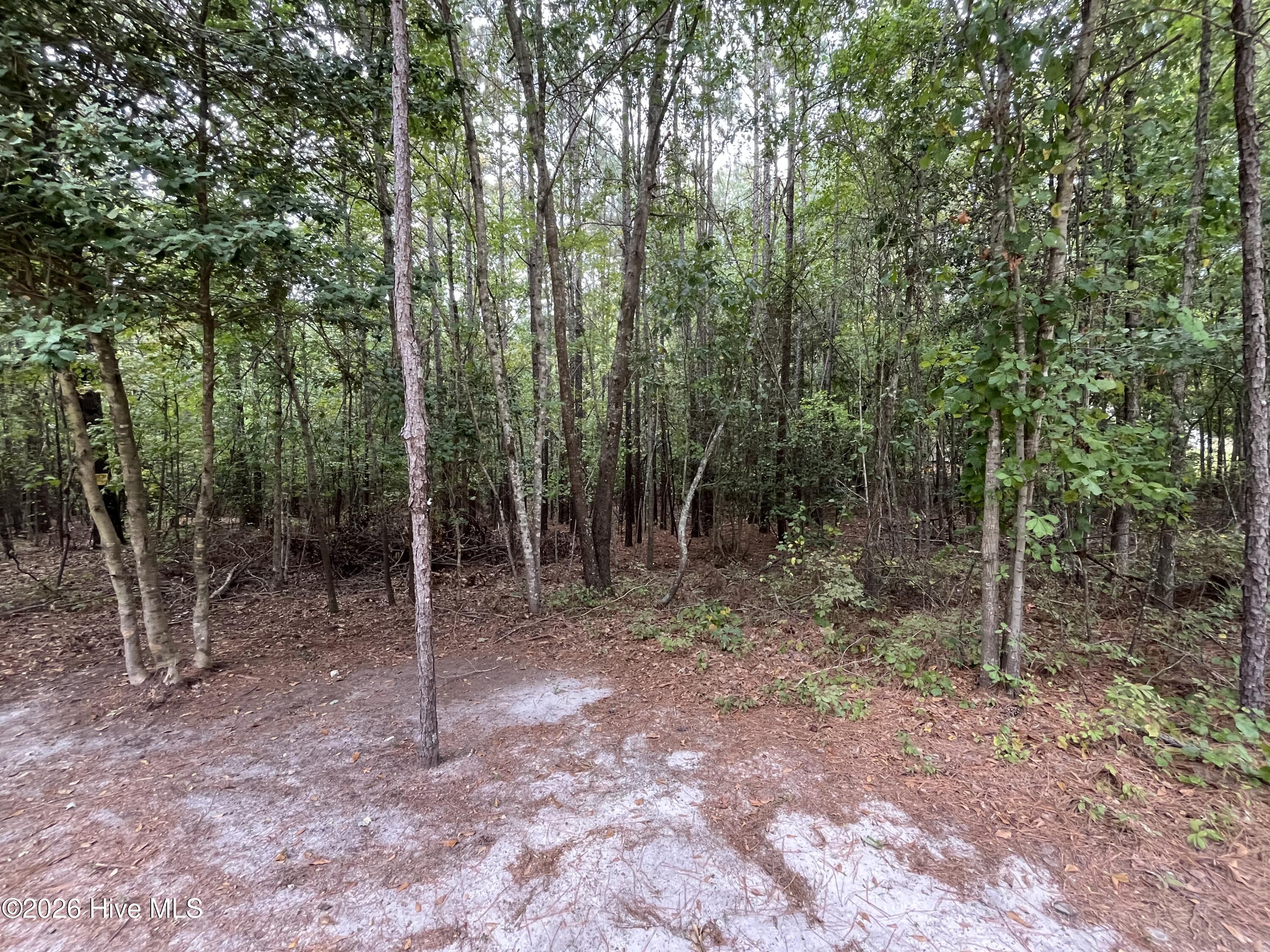 410 5 Bingham Street Property Photo 6