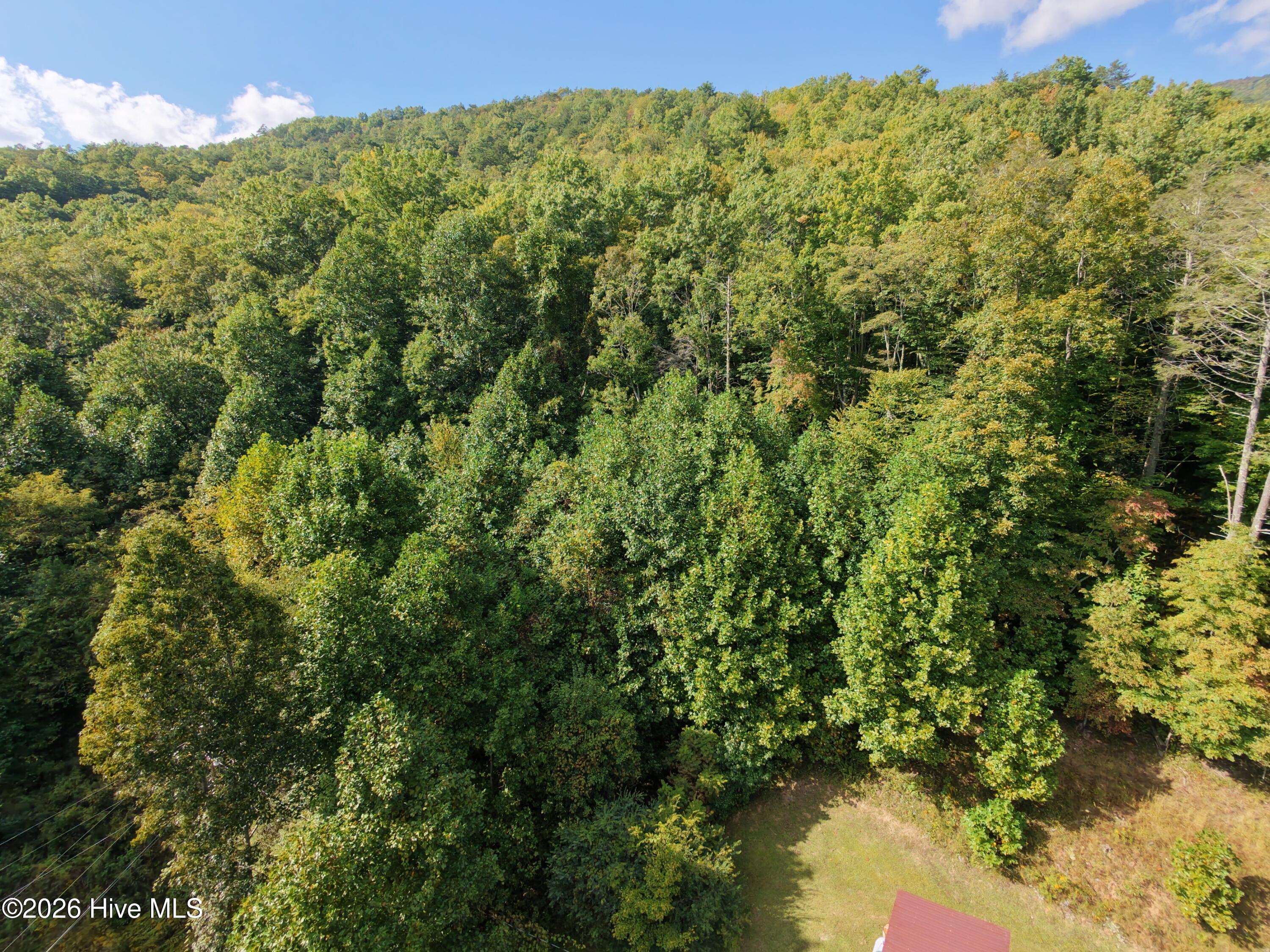 131 Patterson Lane Property Photo 44
