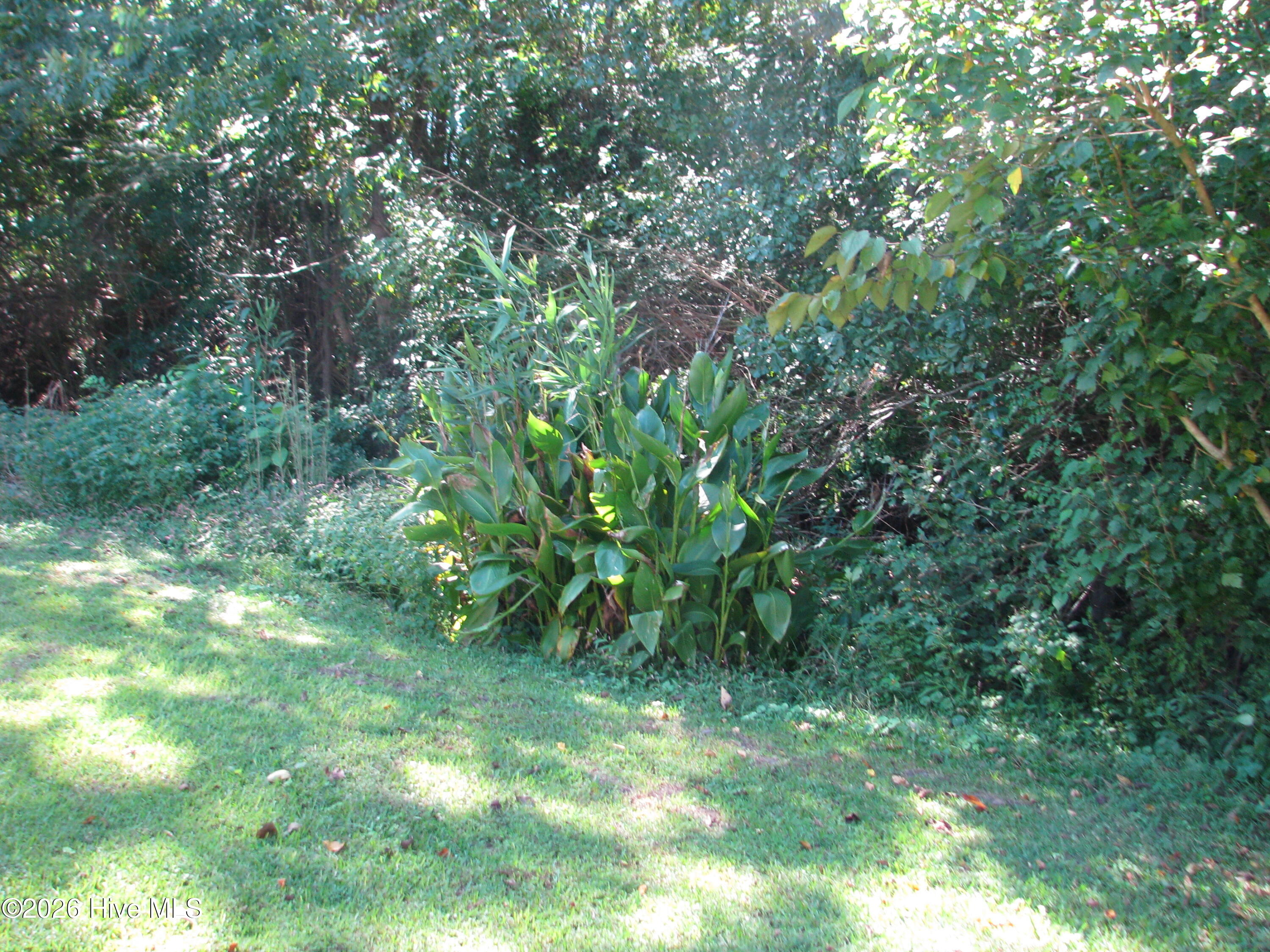 404 Roanoke Avenue Property Photo 12