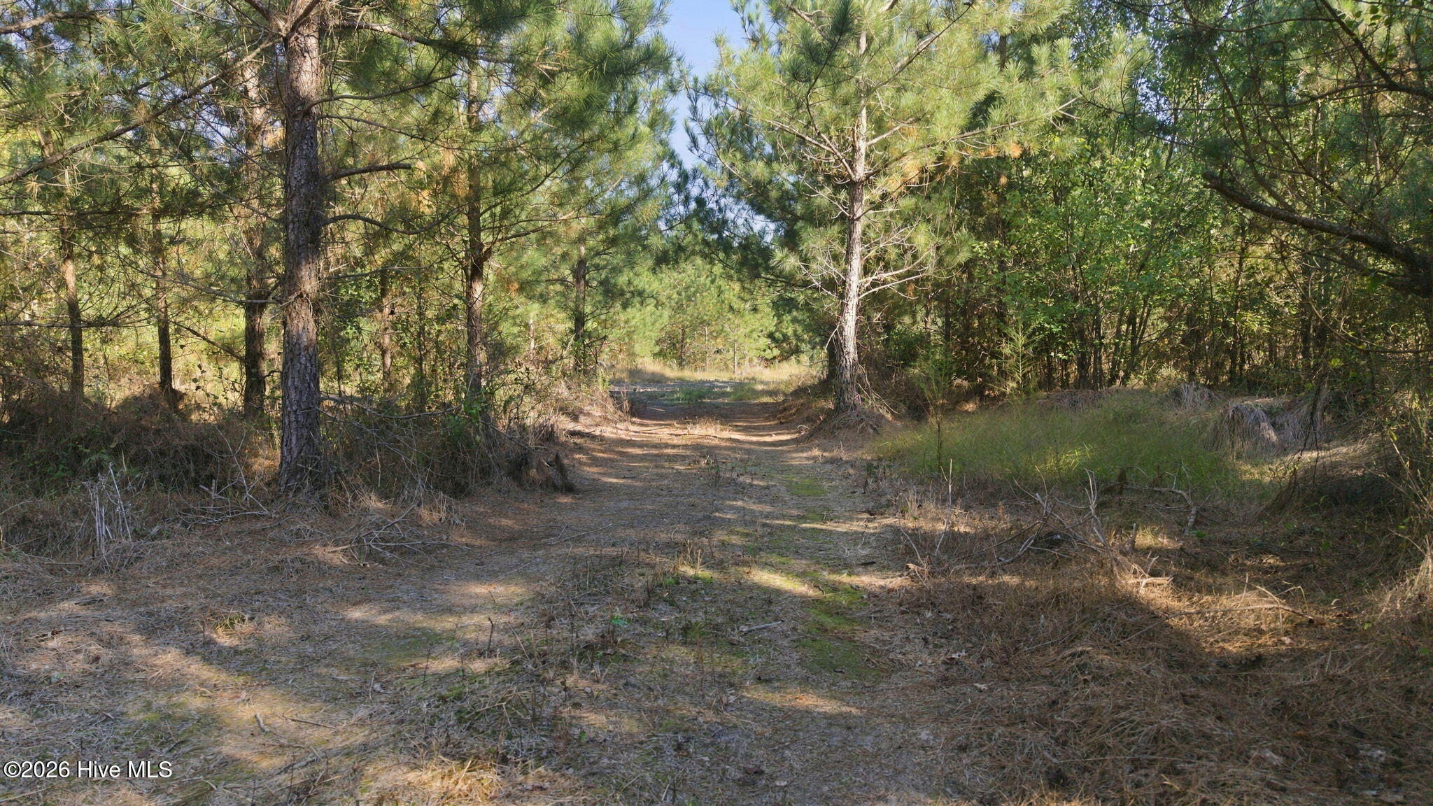 0 Rex Smith Lane Property Photo 16