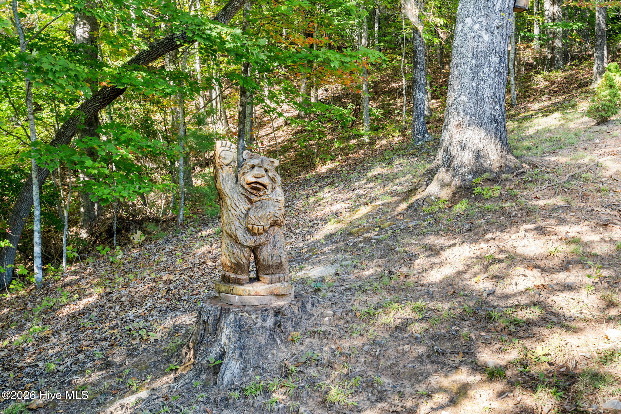 200 Twelve Oaks Trail Property Photo 71