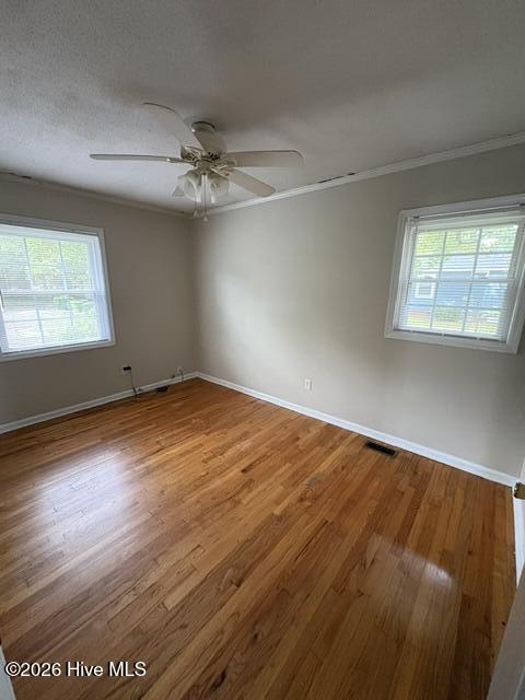 4405 Queen Street Property Photo 9