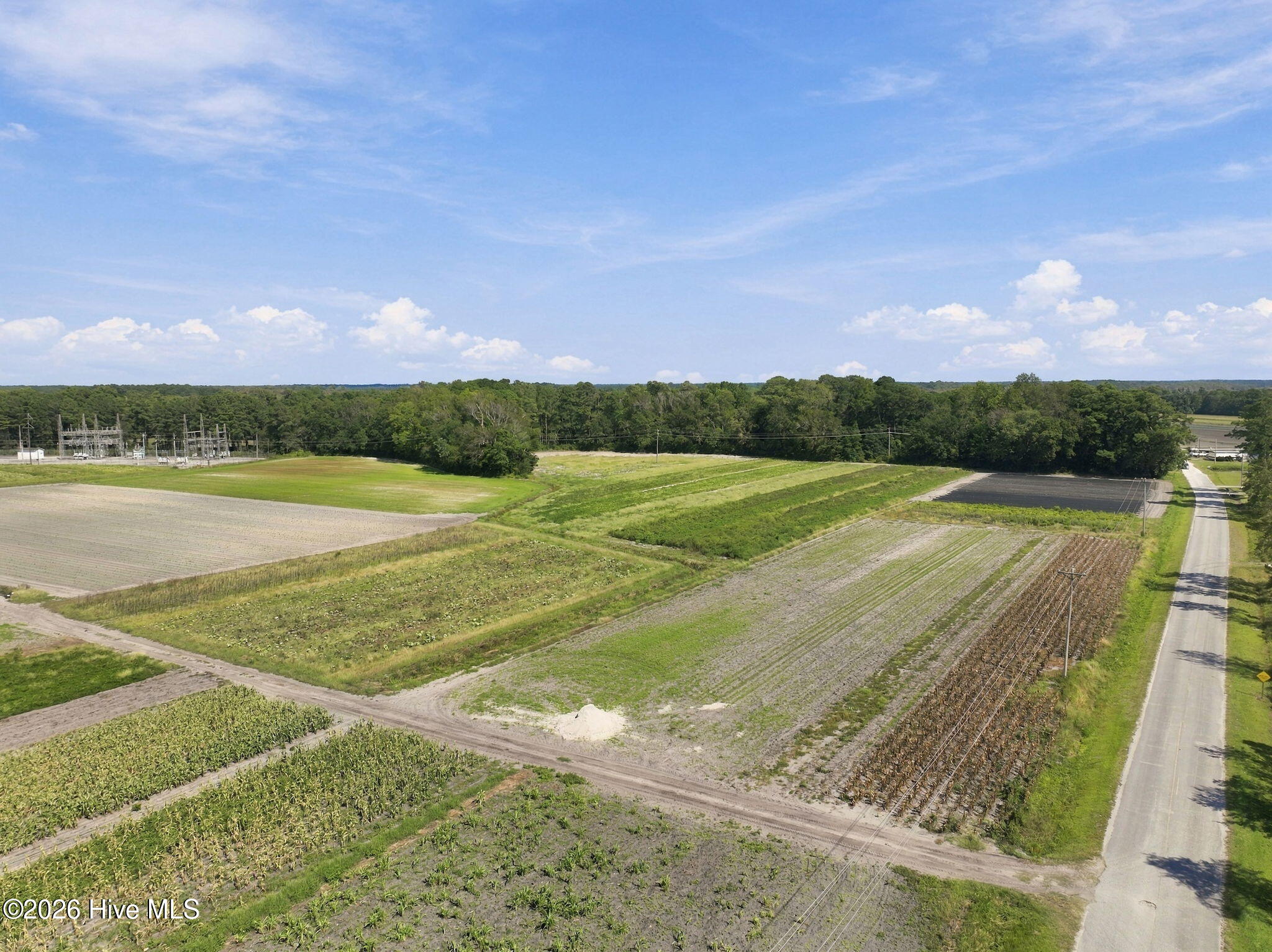 000 Willis Farm (68ac All 3 Lots) Property Photo 5
