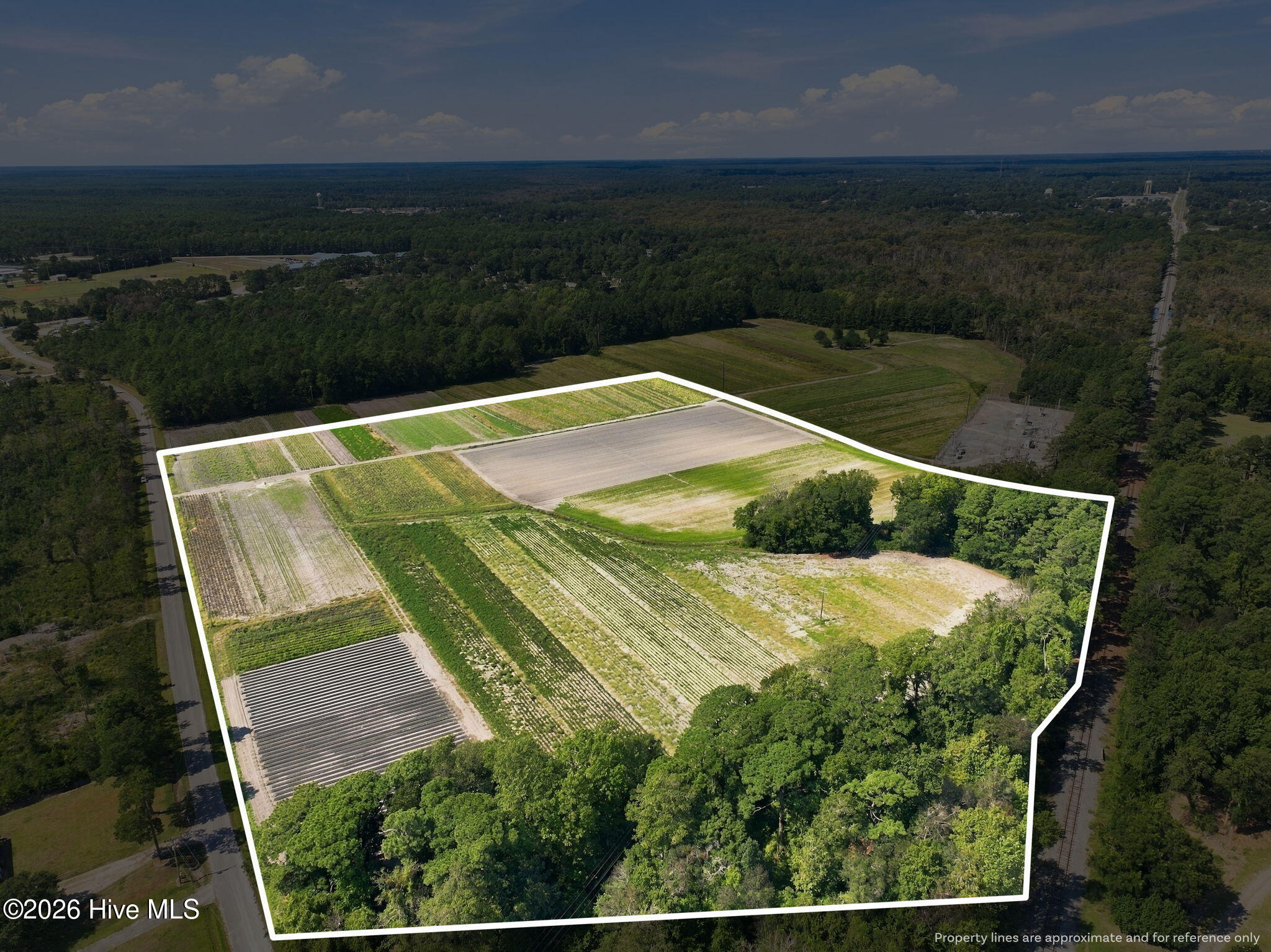 000 Willis Farm (68ac All 3 Lots) Property Photo 7