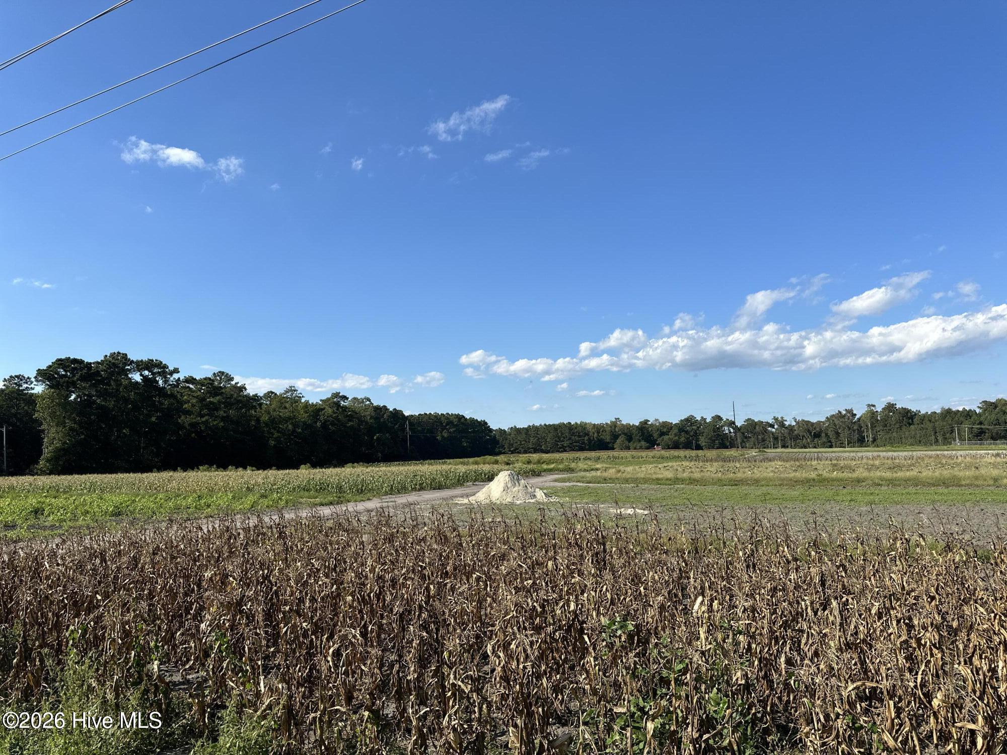 000 Willis Farm (68ac All 3 Lots) Property Photo 12
