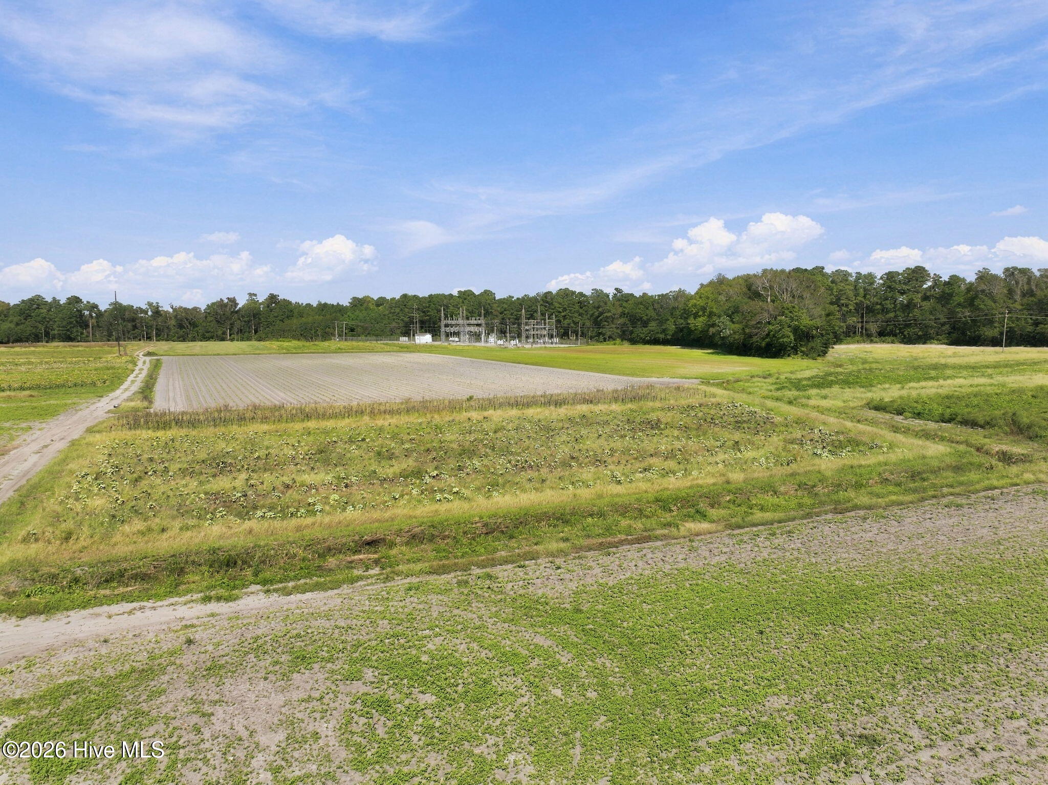 000 Willis Farm (68ac All 3 Lots) Property Photo 13