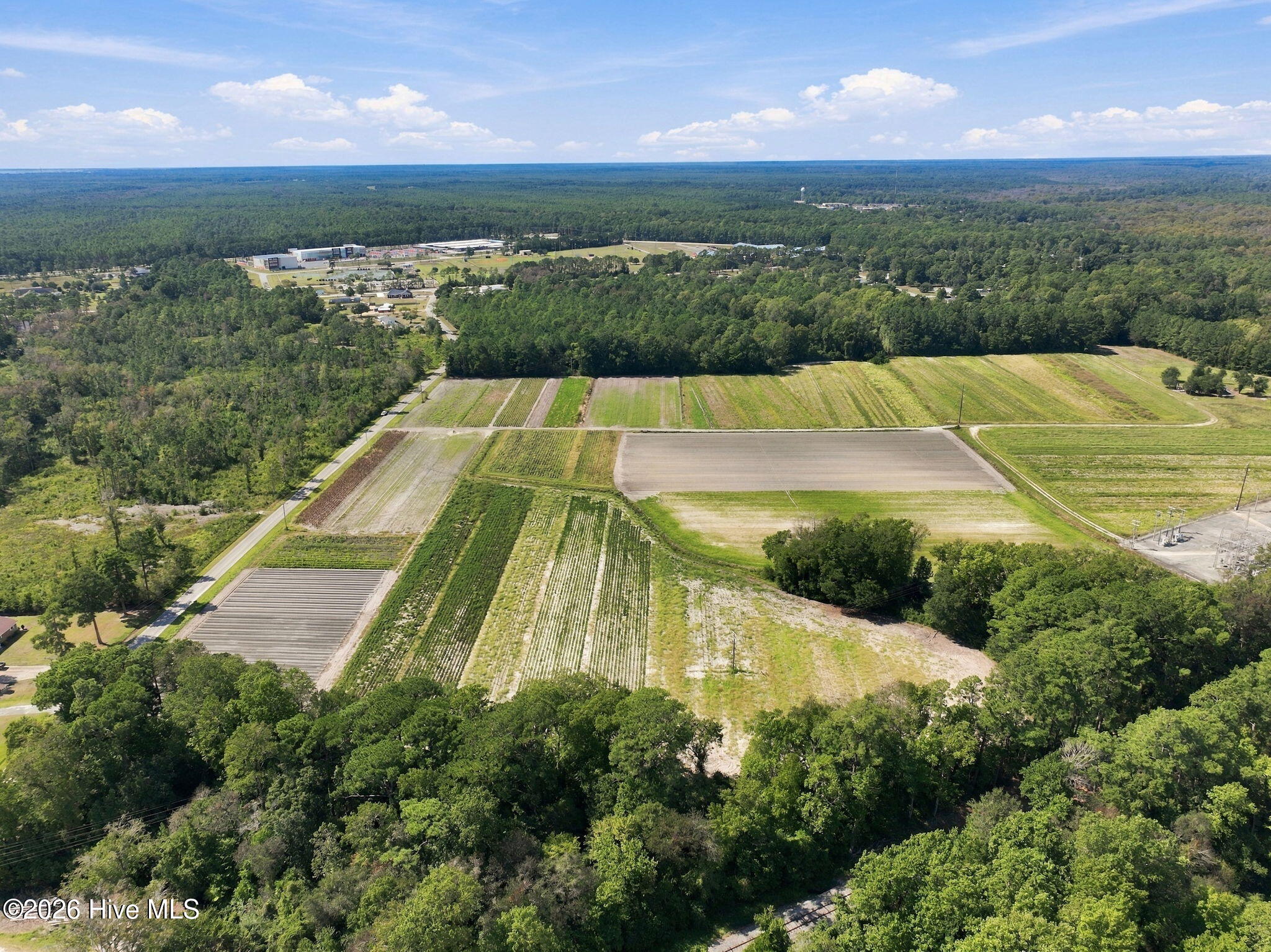 000 Willis Farm (68ac All 3 Lots) Property Photo 15