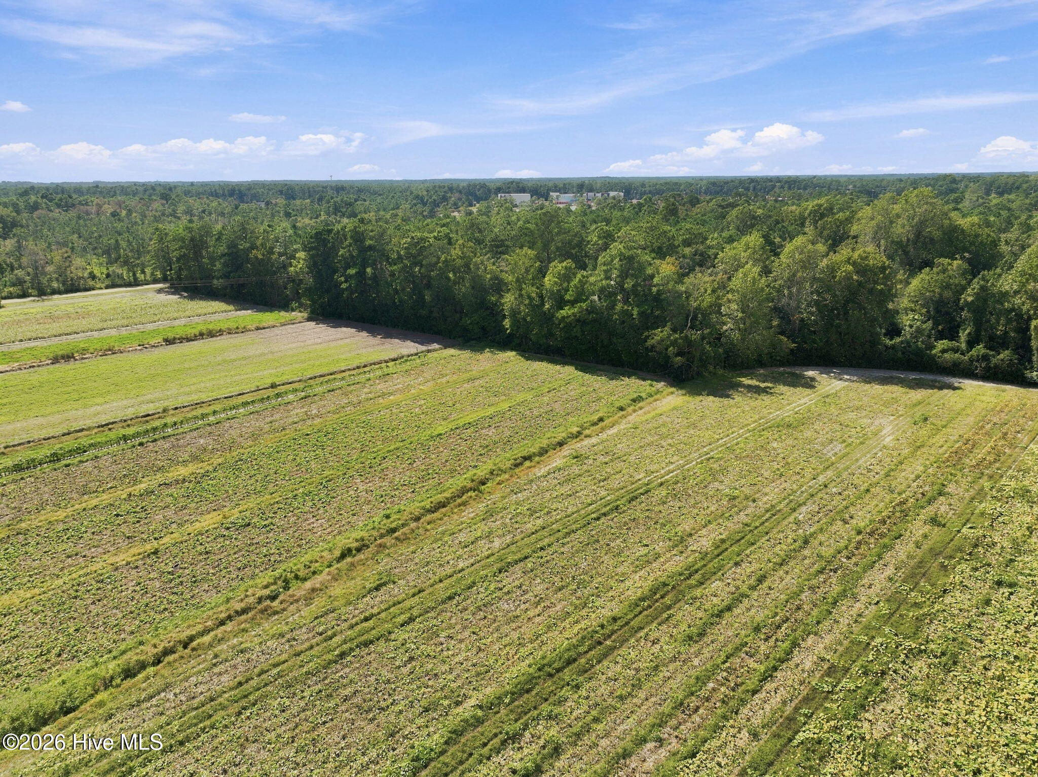 000 Willis Farm (68ac All 3 Lots) Property Photo 22