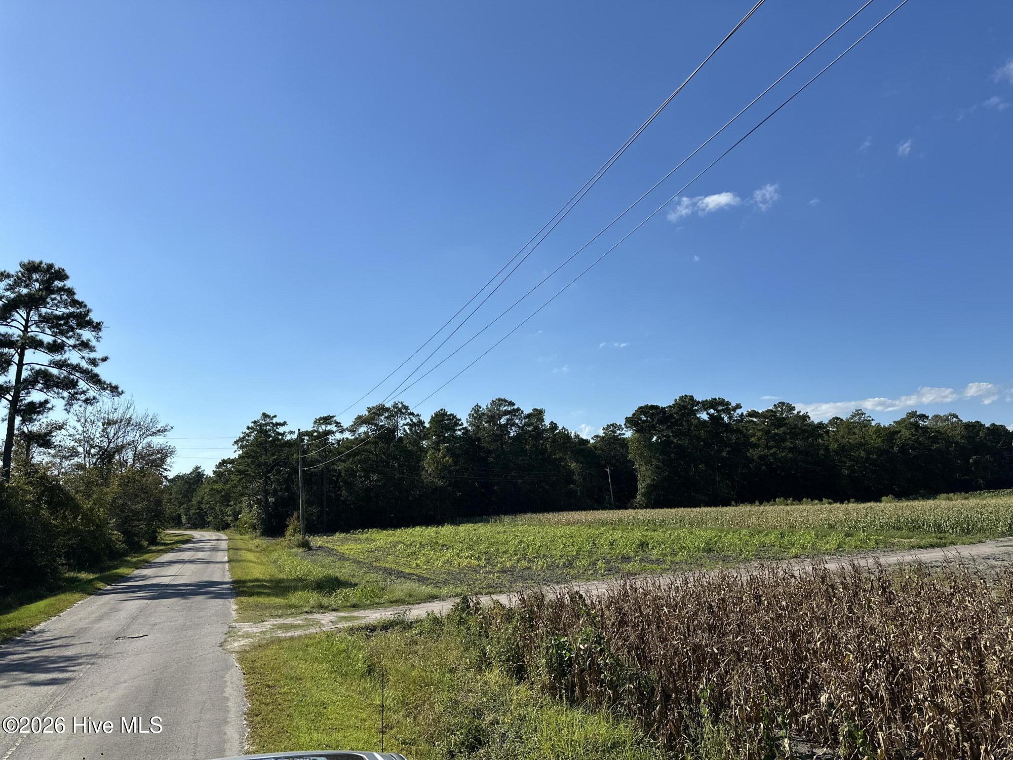 000 Willis Farm (68ac All 3 Lots) Property Photo 23