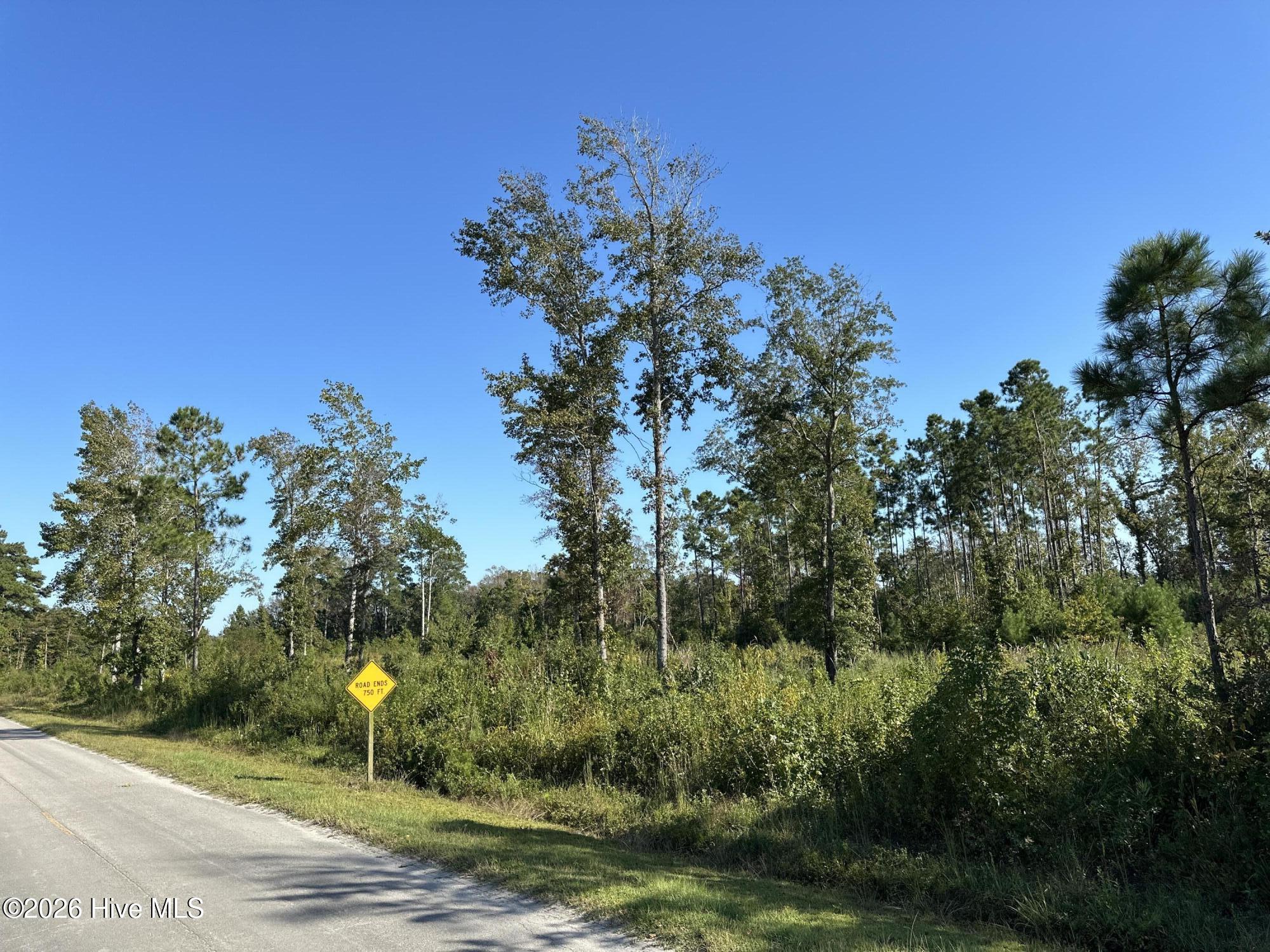 000 Willis Farm (68ac All 3 Lots) Property Photo 28