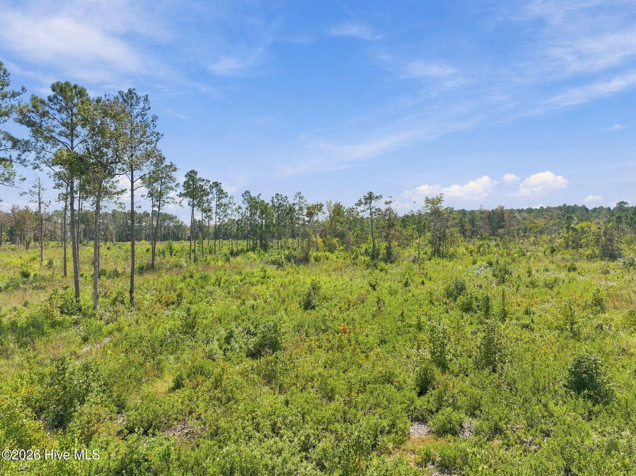 000 Willis Farm (68ac All 3 Lots) Property Photo 30