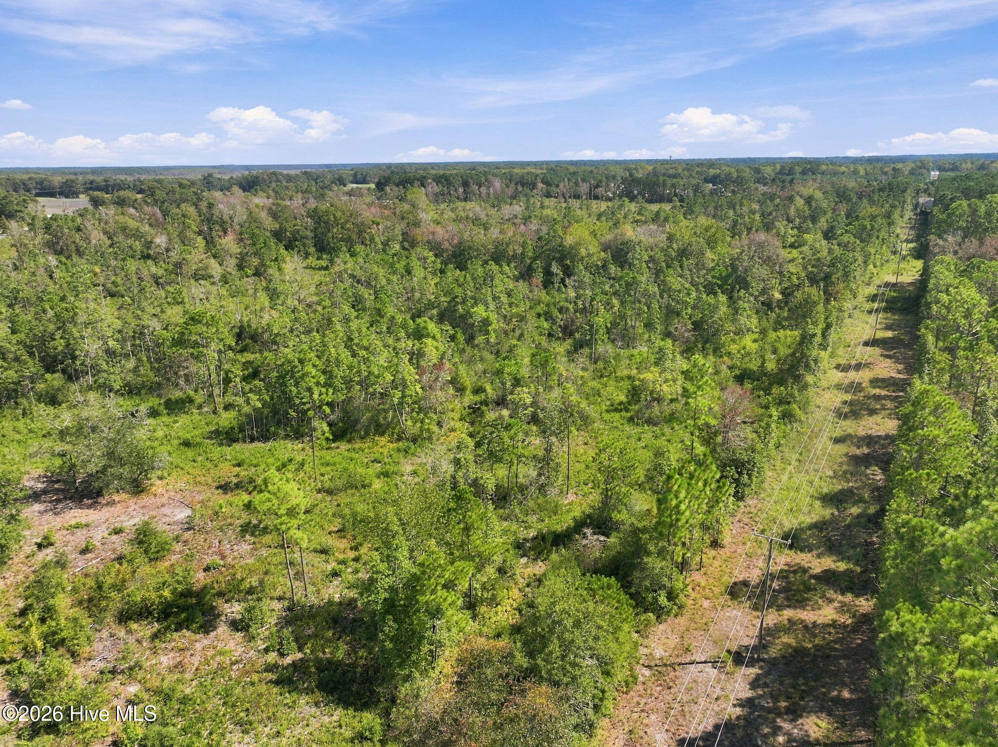 000 Willis Farm (68ac All 3 Lots) Property Photo 31