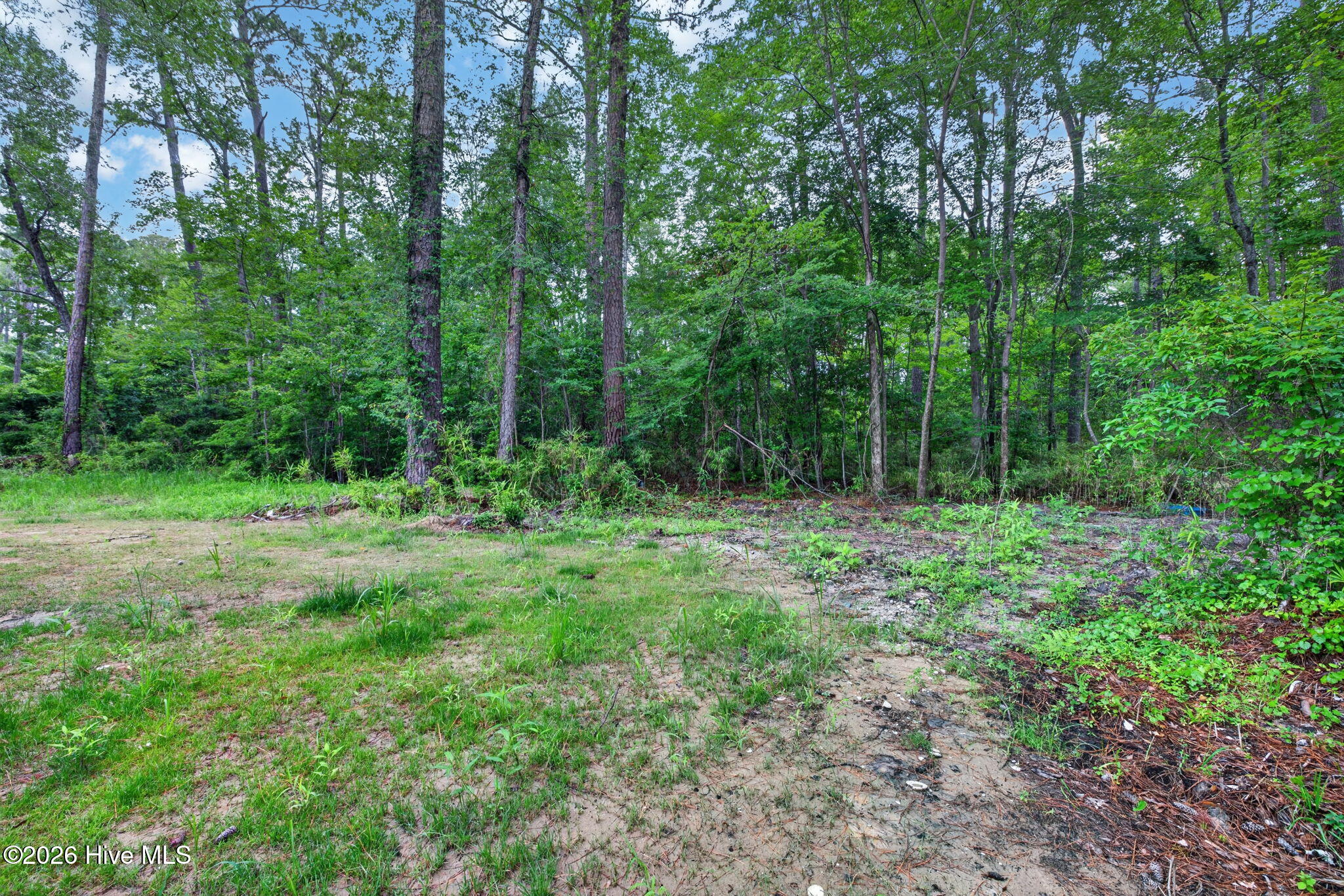 653 Poyners Road Property Photo 16