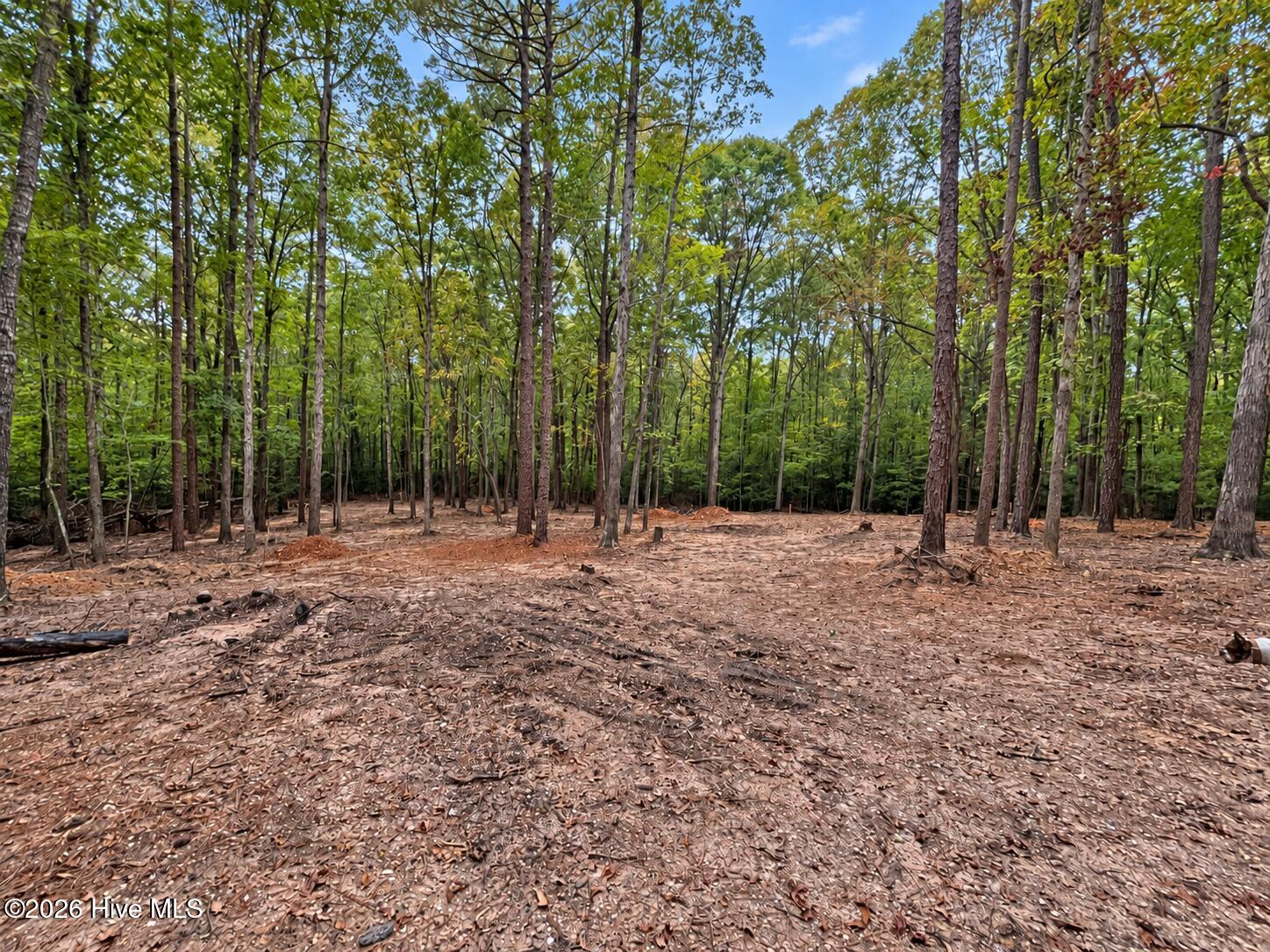 150 Morgan Circle Property Photo 4