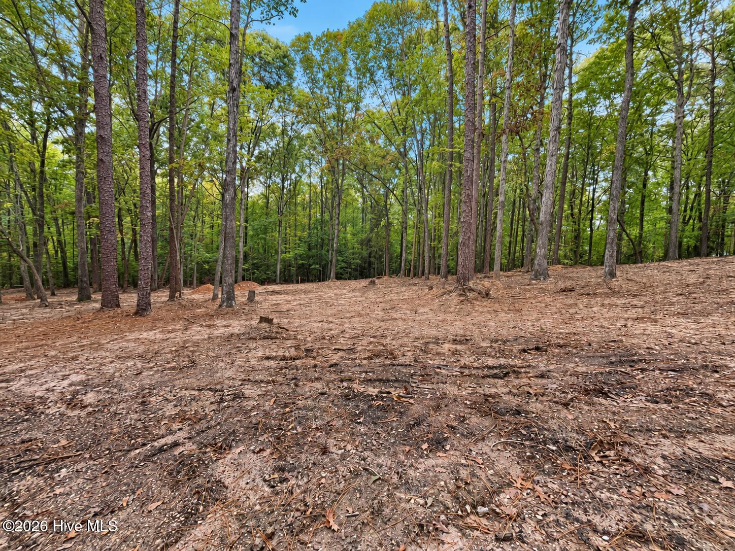 150 Morgan Circle Property Photo 6