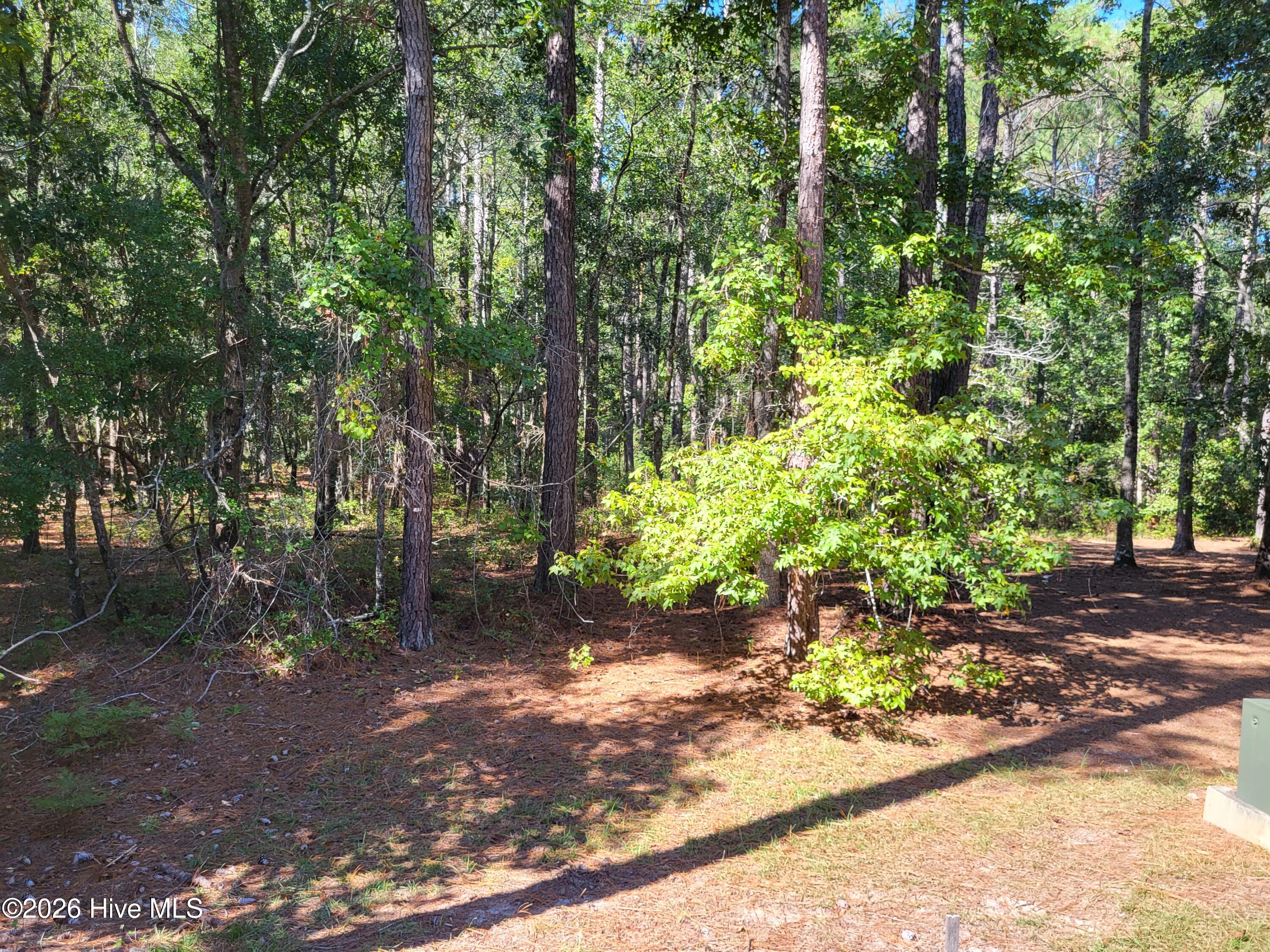 538 Lindgrove Place Sw Property Photo 7