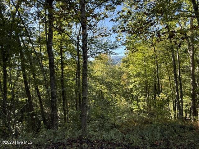 Lot 73 73 Turkey Walk Drive Property Photo 3