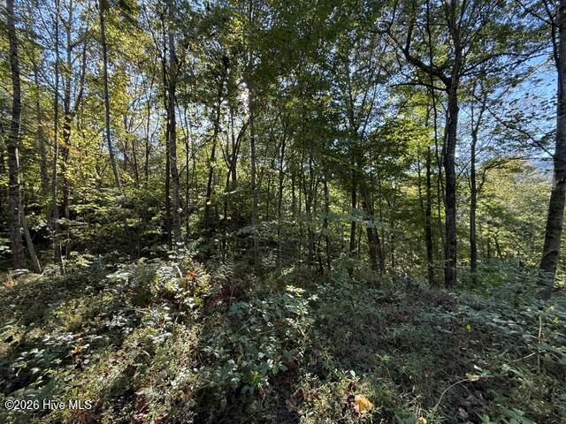 Lot 73 73 Turkey Walk Drive Property Photo 6