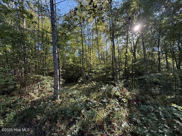 Lot 73 73 Turkey Walk Drive Property Photo 9