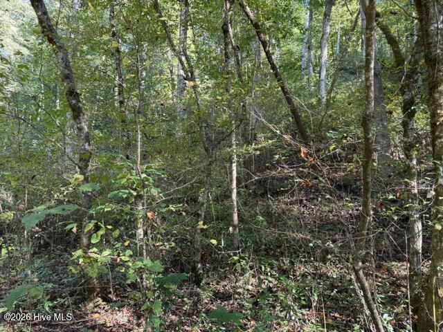 Lot 73 73 Turkey Walk Drive Property Photo 11