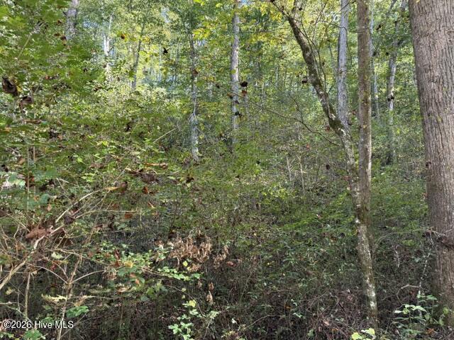 Lot 73 73 Turkey Walk Drive Property Photo 13