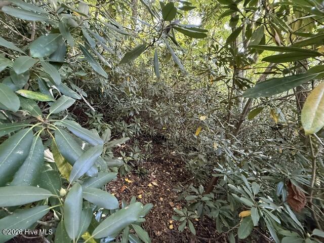 Lot 73 73 Turkey Walk Drive Property Photo 15