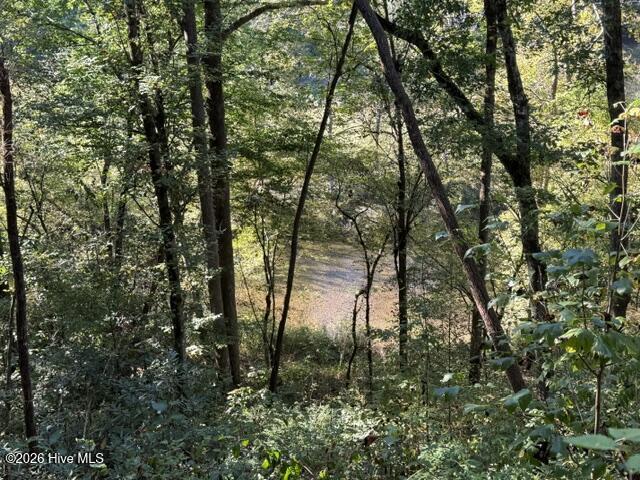 Lot 73 73 Turkey Walk Drive Property Photo 16