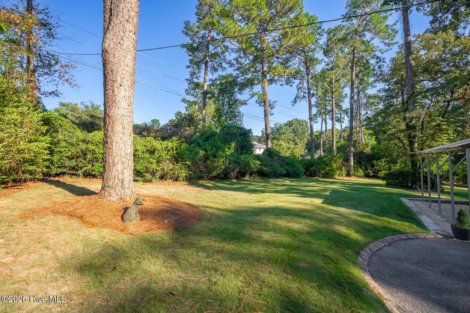 119 Idlewild Drive Property Photo 47