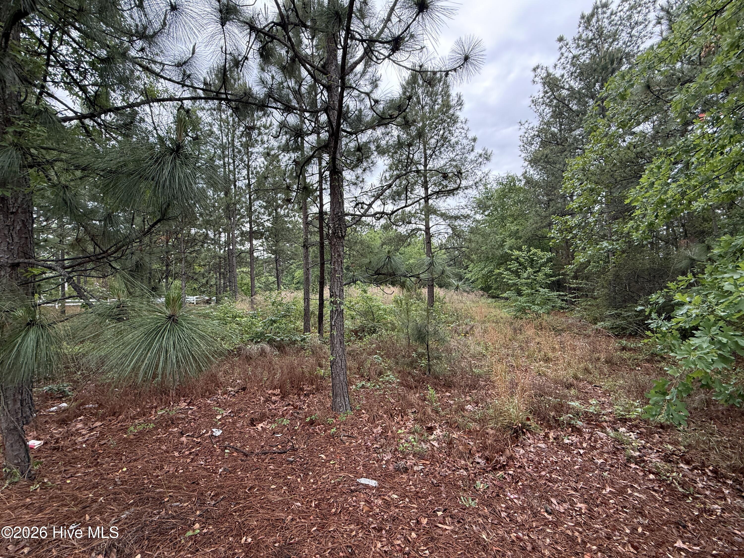 280 Murray Hill Road Property Photo 1