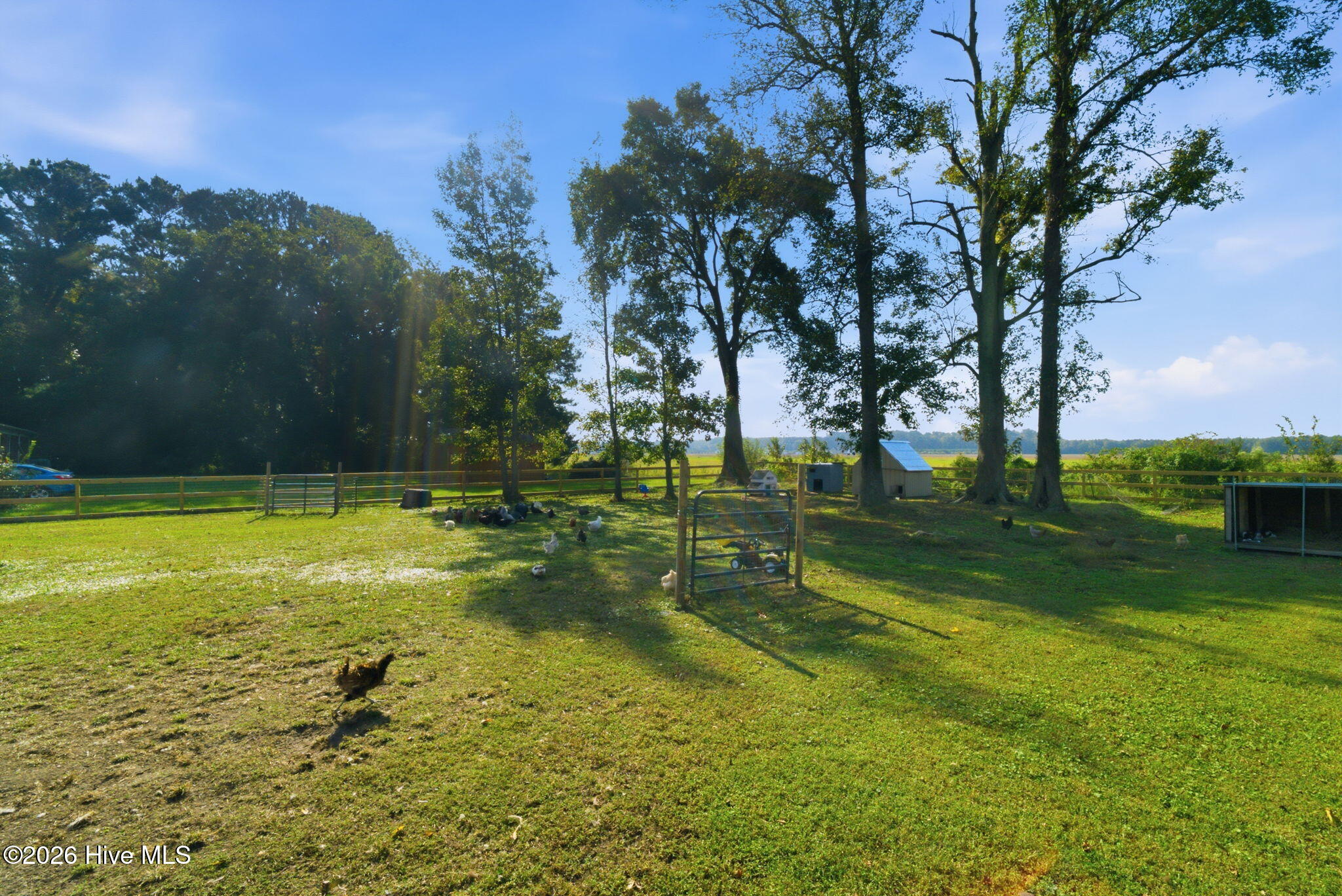 141 Lilly Road Property Photo 32