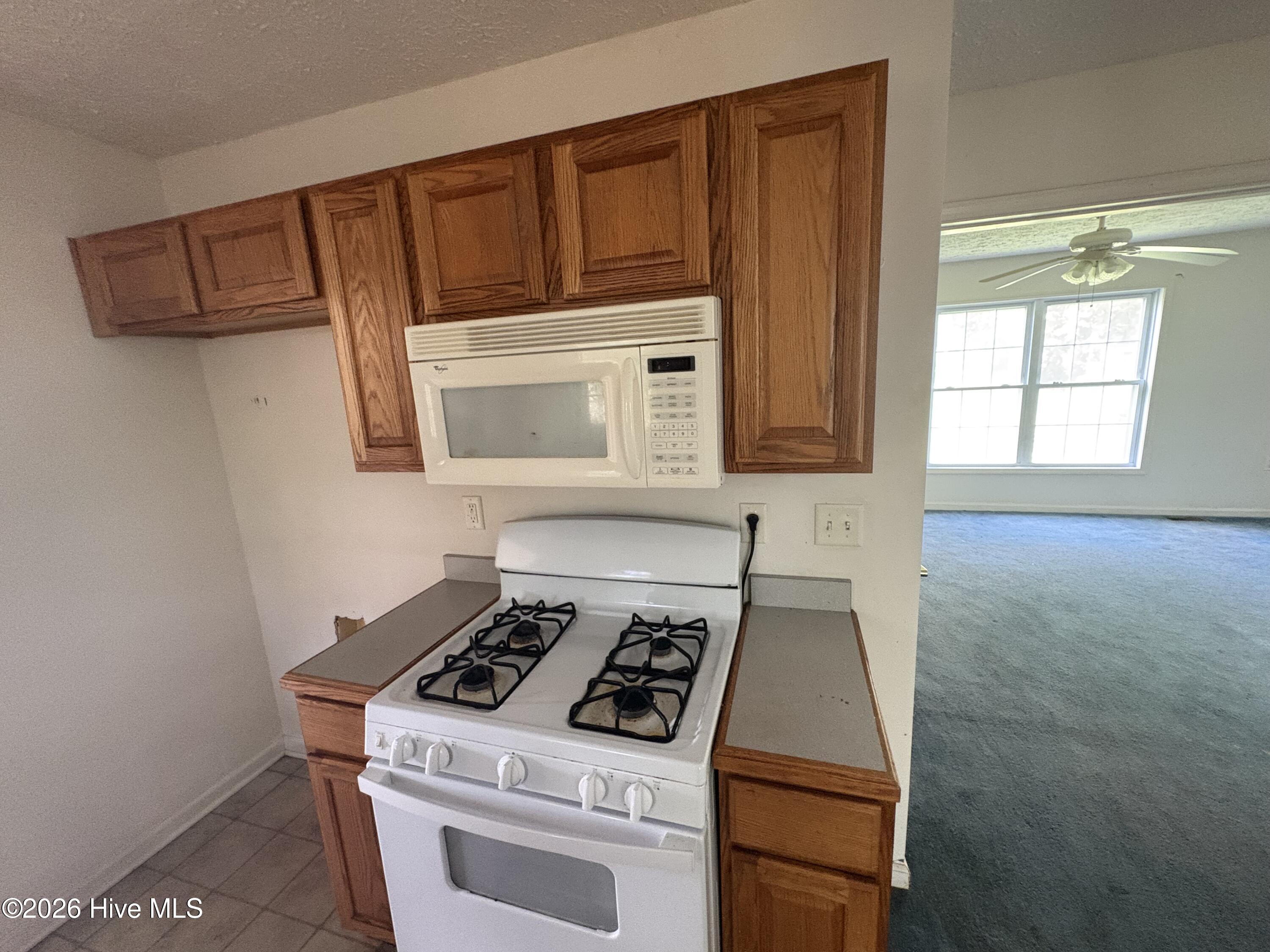 436 W Pantego Street Property Photo 6