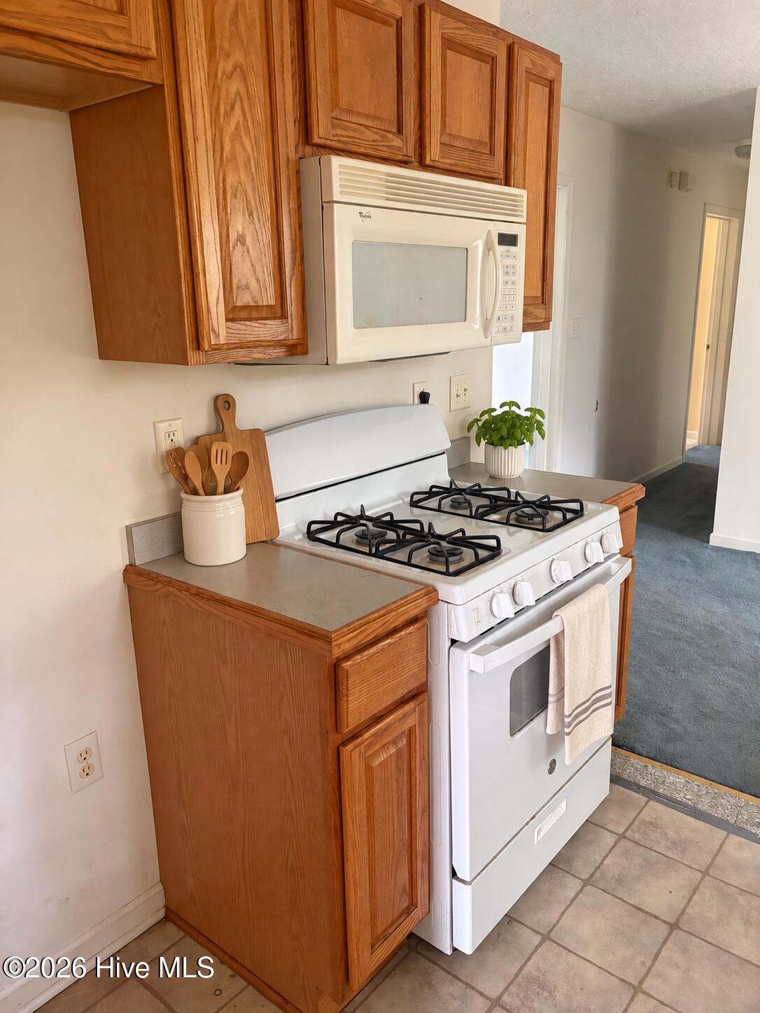 436 W Pantego Street Property Photo 7
