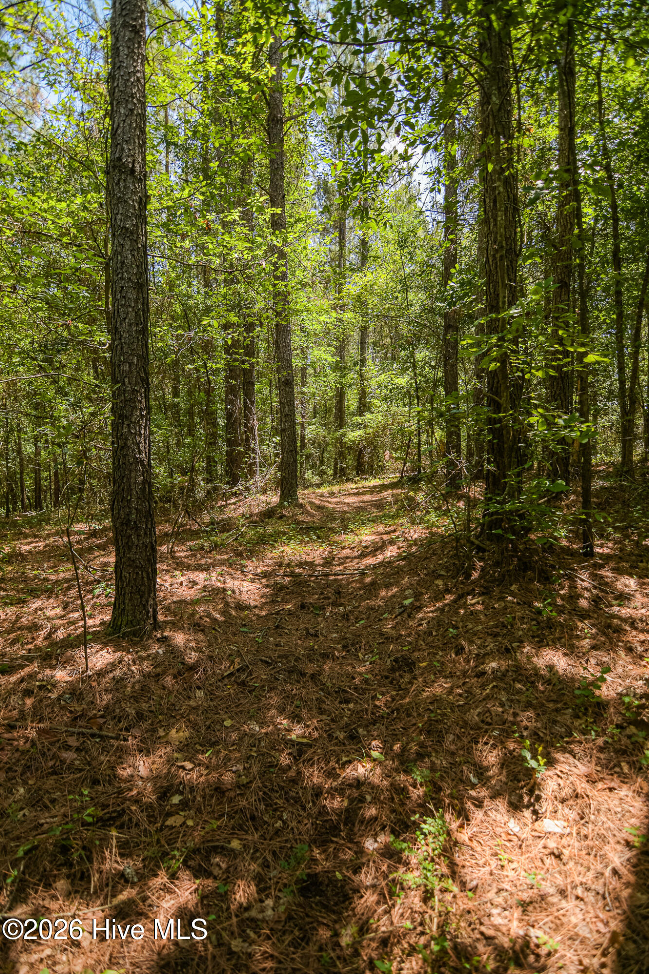 21181 Traders Road Property Photo 52