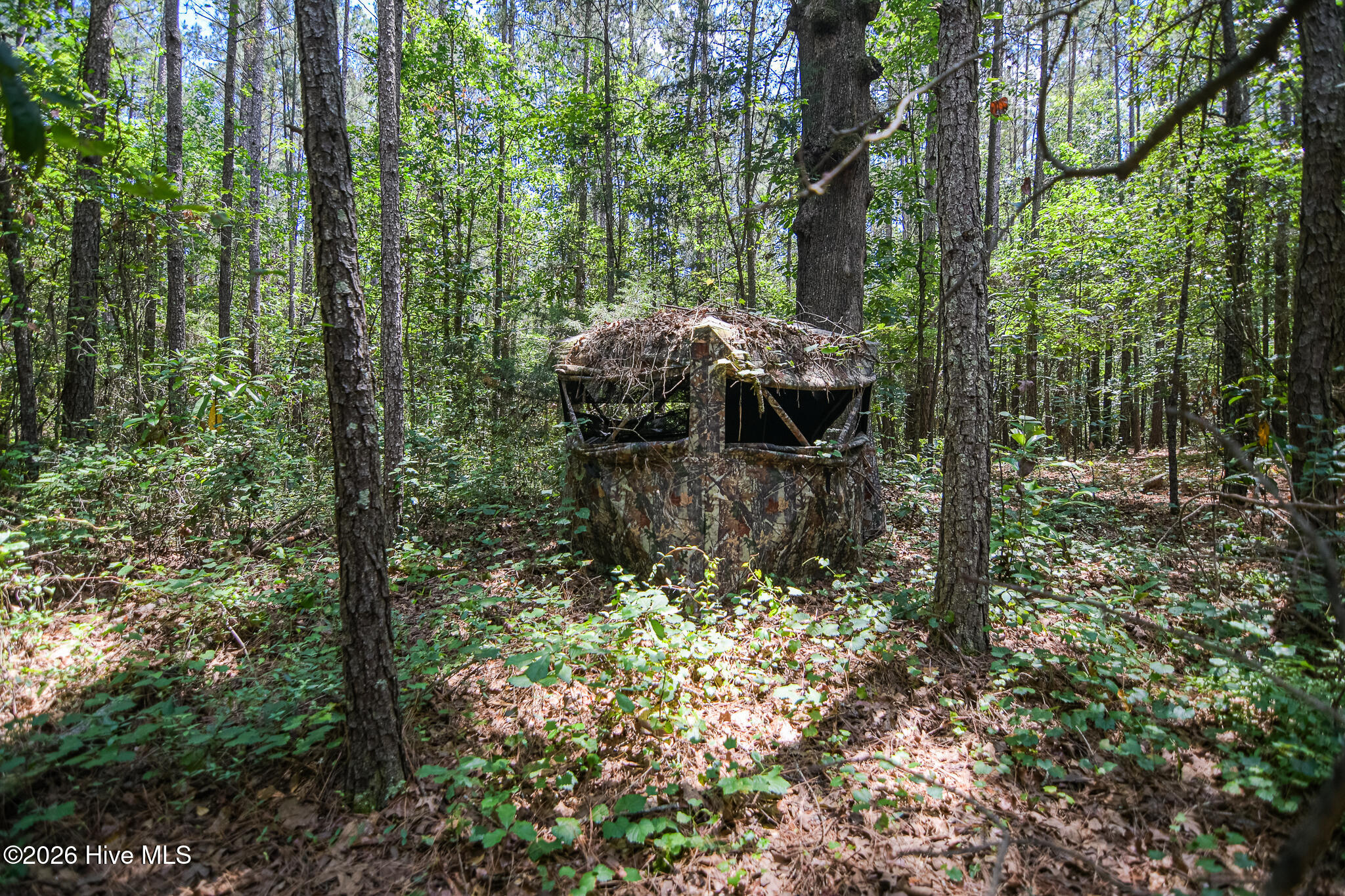 21181 Traders Road Property Photo 55