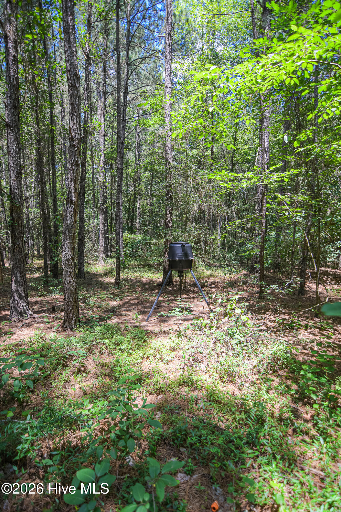 21181 Traders Road Property Photo 57