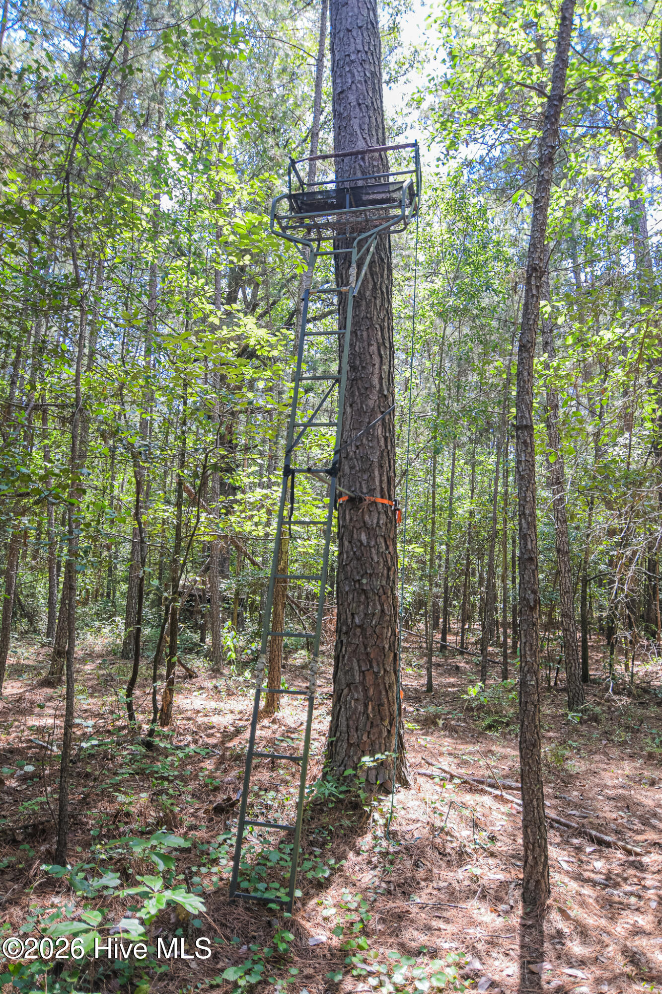 21181 Traders Road Property Photo 58