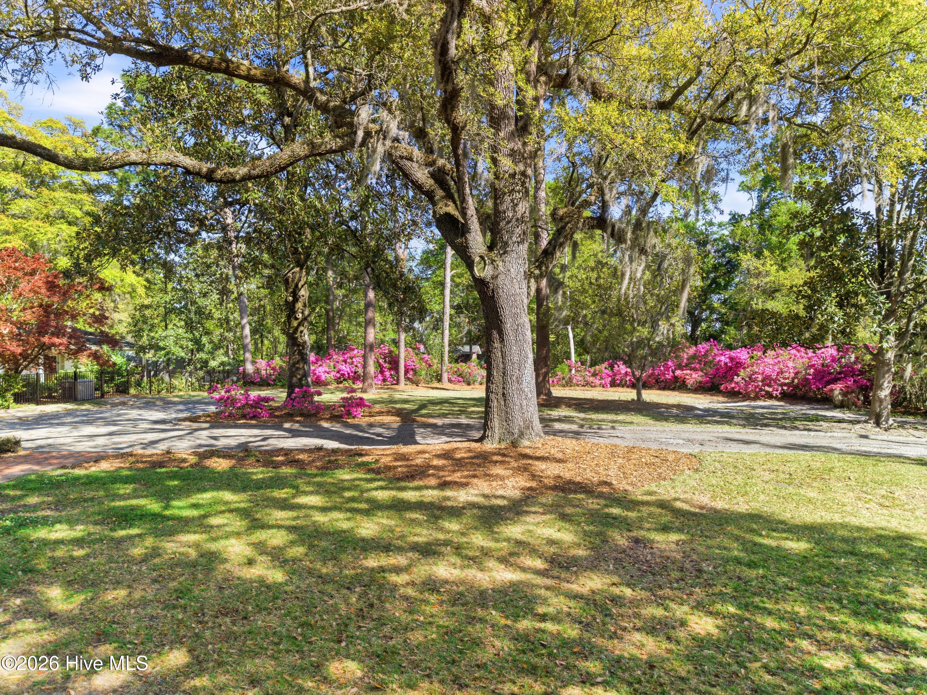 2901 Oleander Drive Property Photo 2